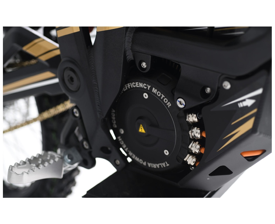 TALARIA Sting Pro L1e-image-12