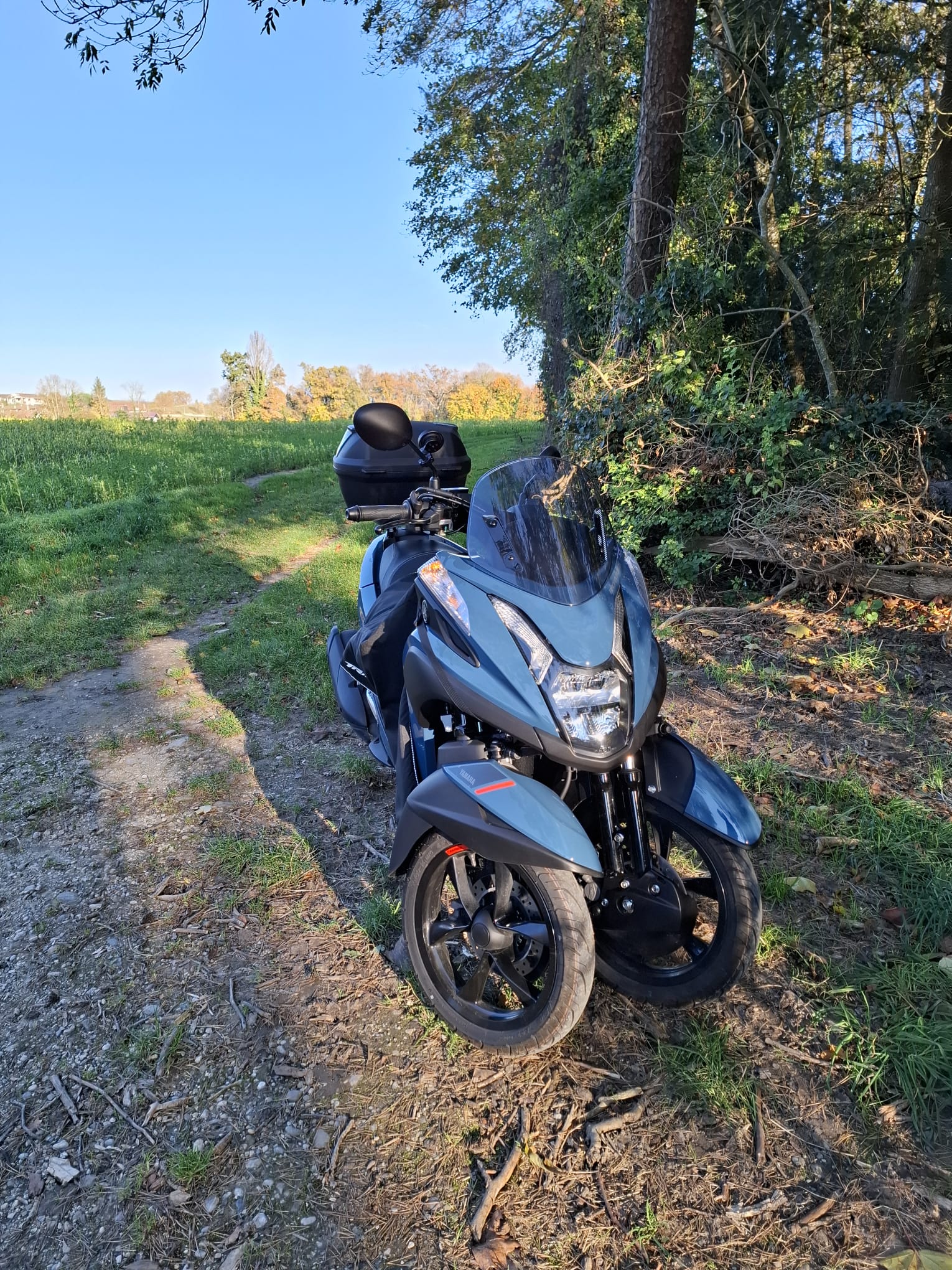 YAMAHA MSW125-c-image-0