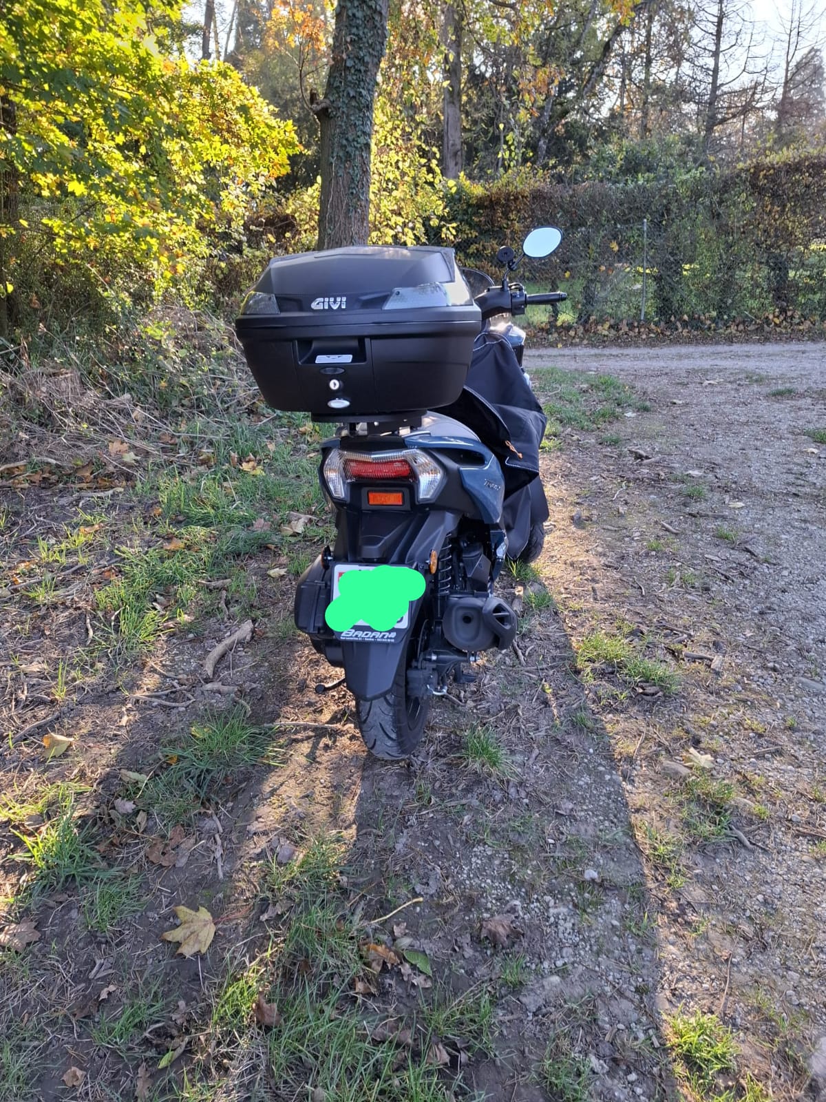 YAMAHA MSW125-c-image-2