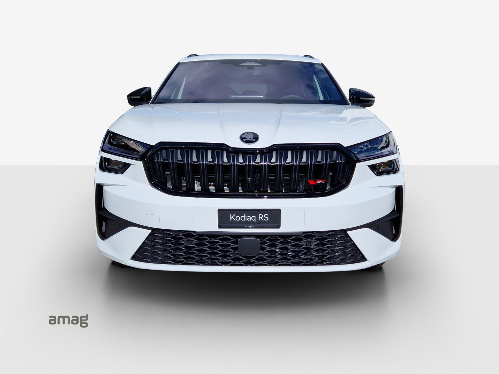 SKODA Kodiaq RS 2.0TSI 265PS 7DSG4x4-image-6