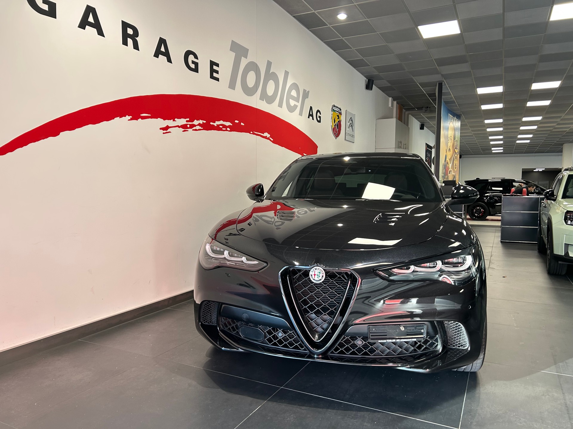 ALFA ROMEO Stelvio 2.9 V6 Quadrifoglio Q4 AT8-showroom-element-3