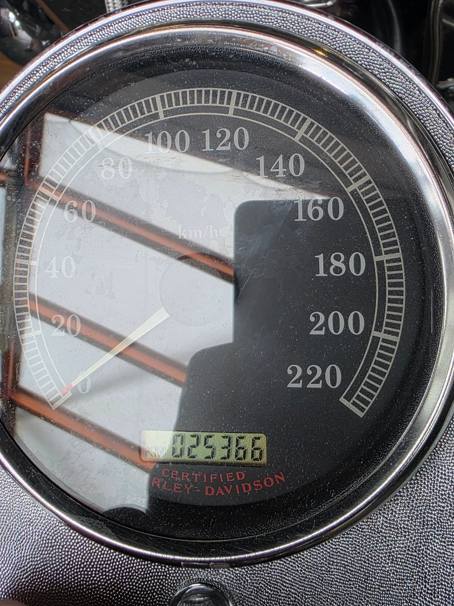 HARLEY-DAVIDSON FLSTCI Softail Classic-image-13