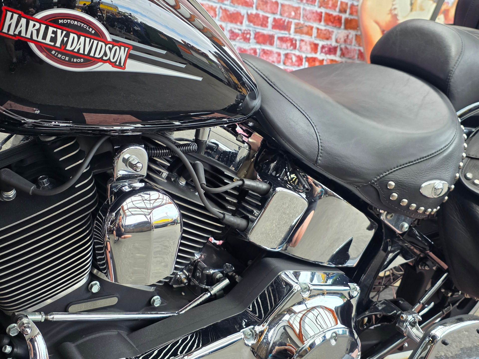 HARLEY-DAVIDSON FLSTCI Softail Classic-image-6