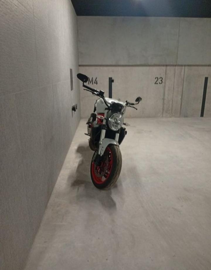 DUCATI Monster 821 Stripe-image-4