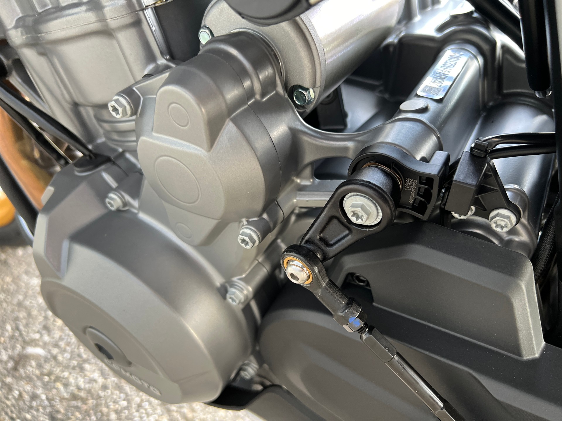 CF MOTO 800 MT Explore-image-7