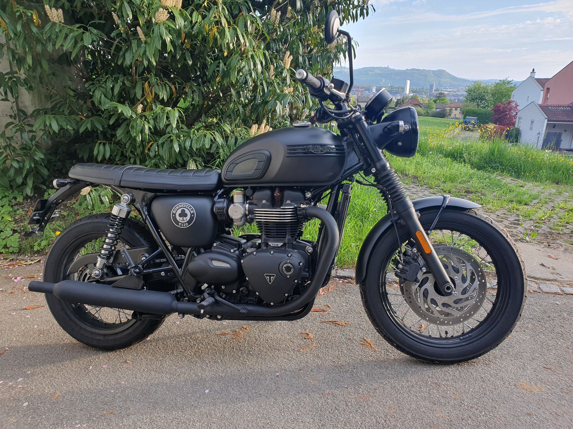 TRIUMPH T120 ACE Version / Limited Edition-image-1