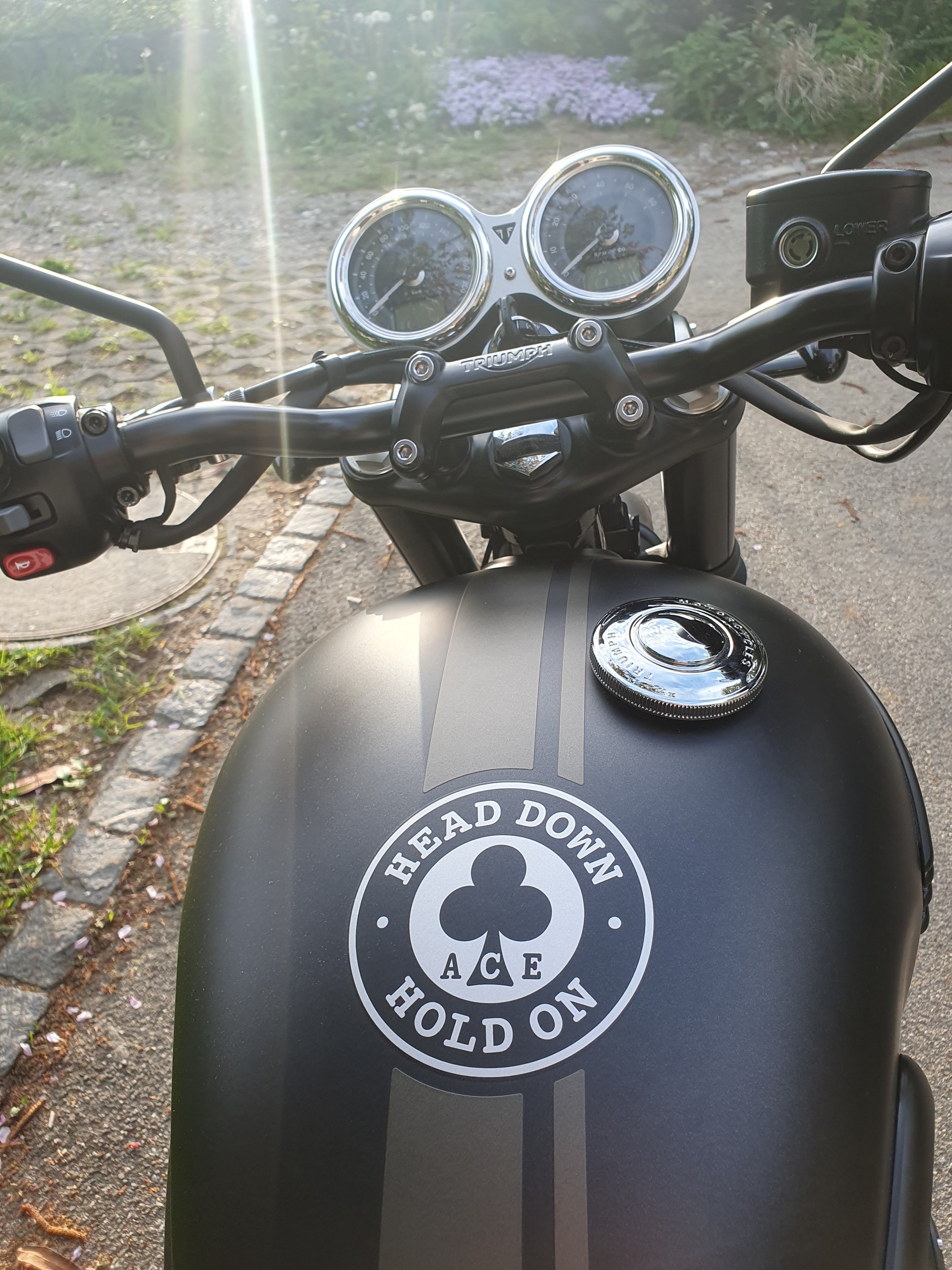 TRIUMPH T120 ACE Version / Limited Edition-image-6