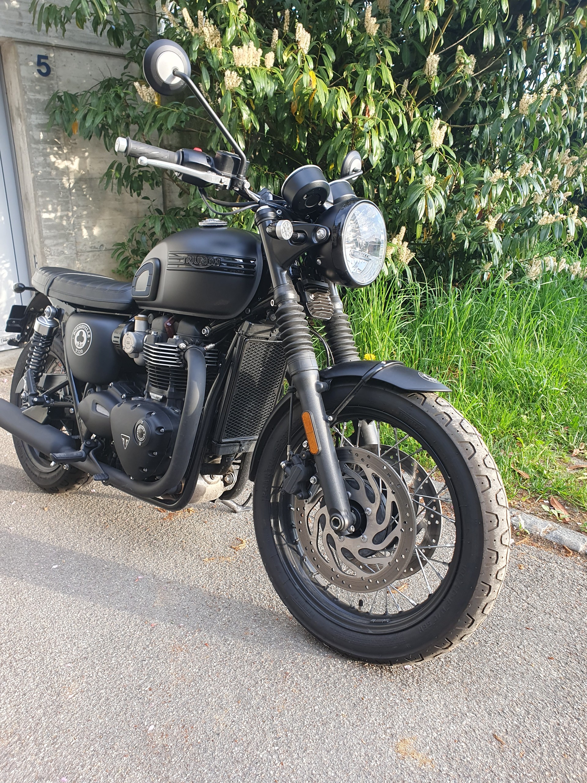 TRIUMPH T120 ACE Version / Limited Edition-image-2