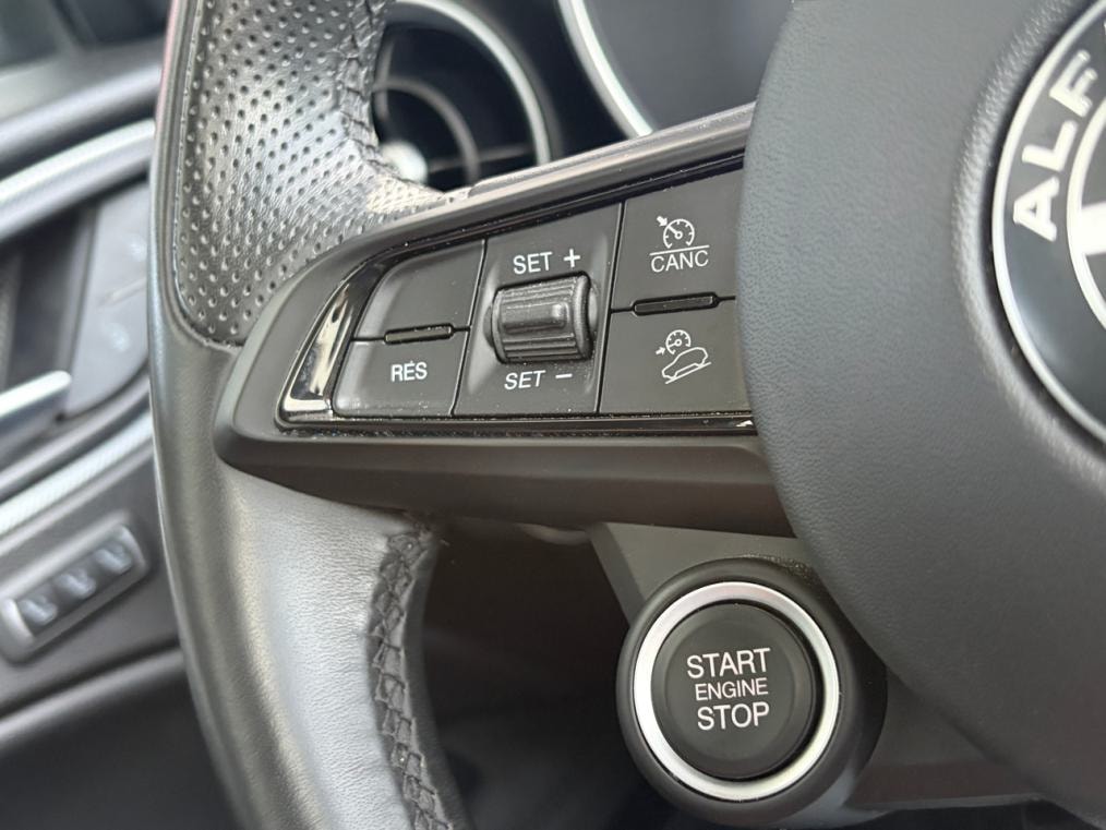 ALFA ROMEO Stelvio 2.0 Veloce Q4-image-6