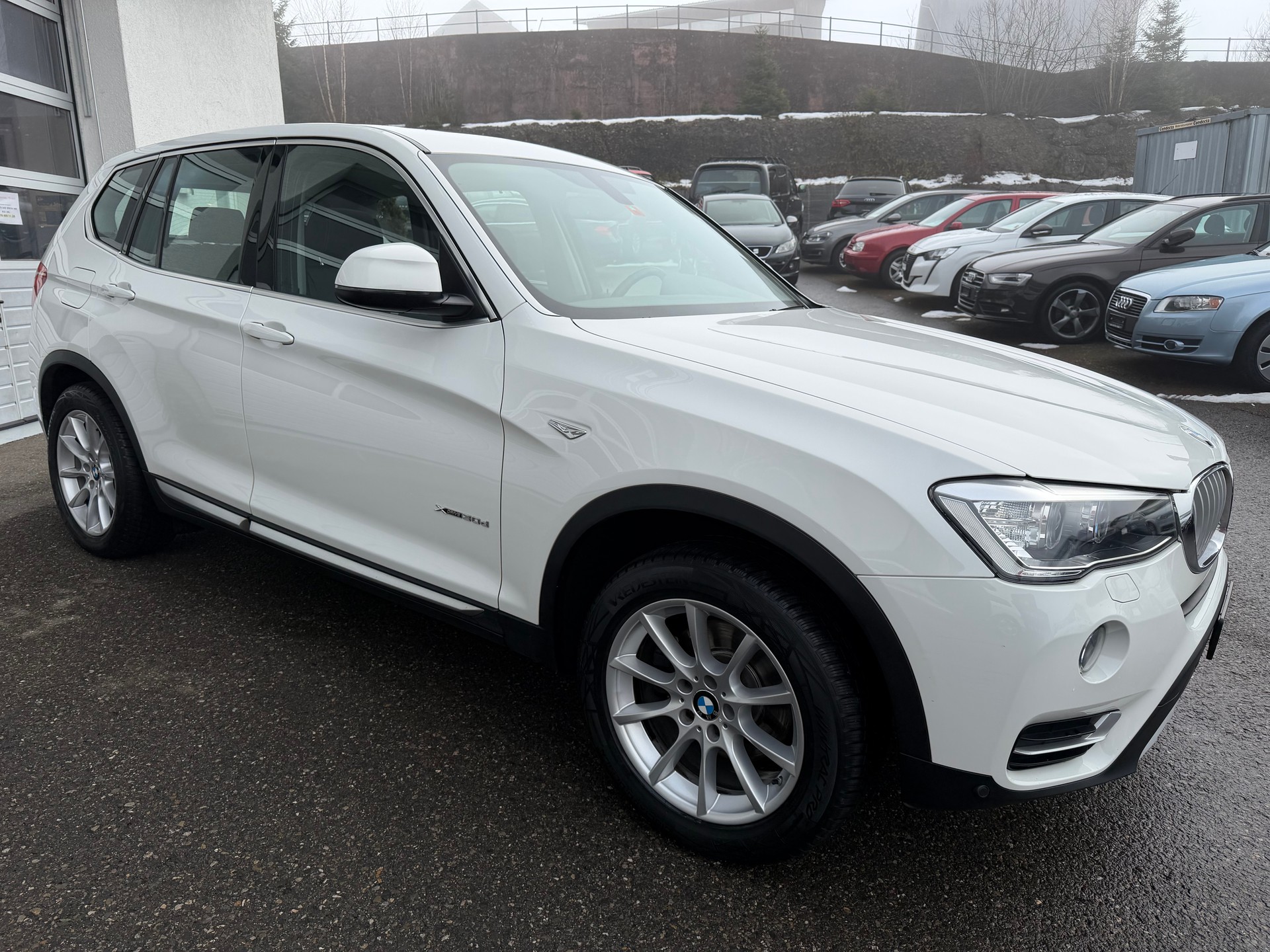 BMW X3 xDrive 30d xLine Steptronic-image-3
