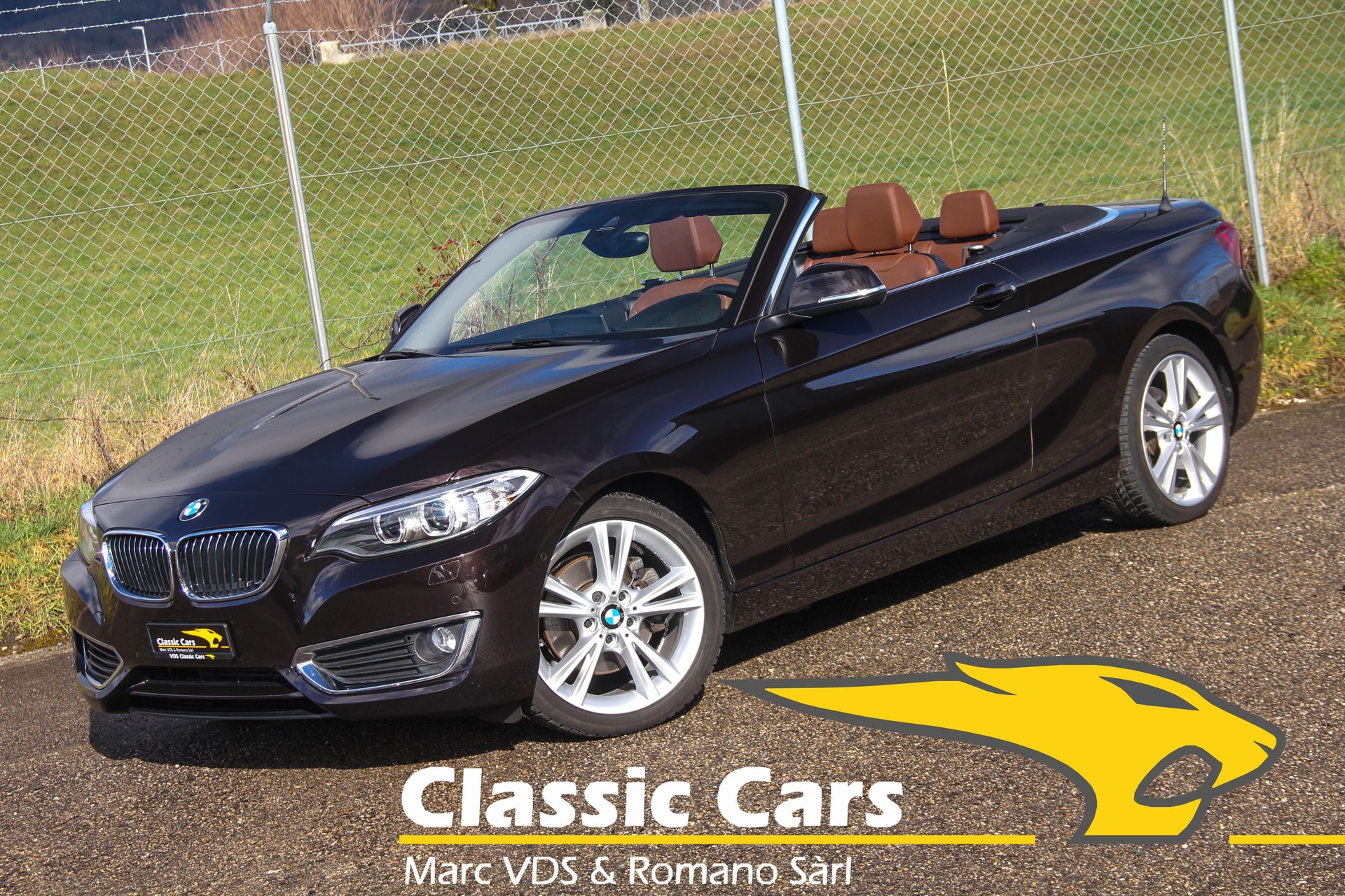 BMW 220i Luxury Line Steptronic 🇩🇪 ⭐⭐⭐⭐⭐