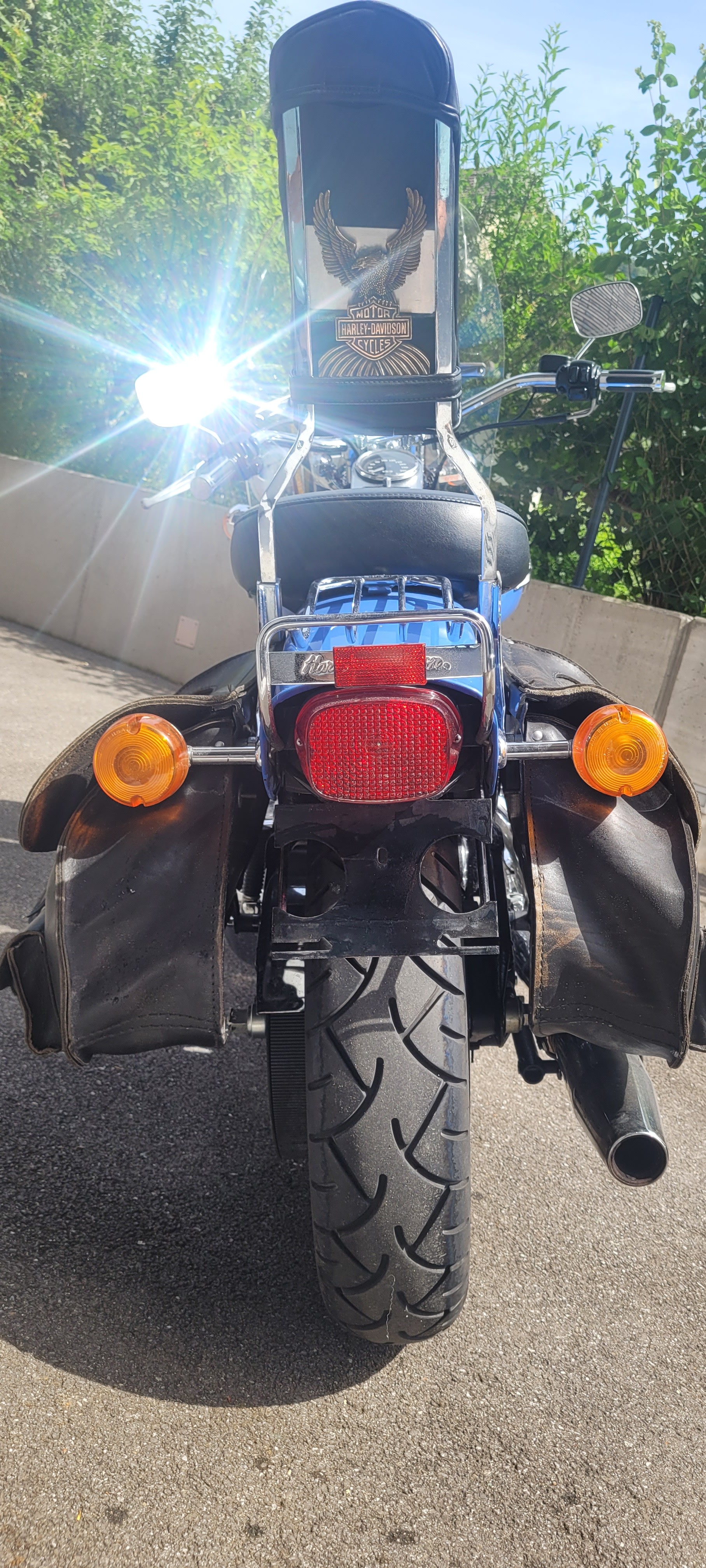 HARLEY-DAVIDSON FXSTS Springer Softail-image-4