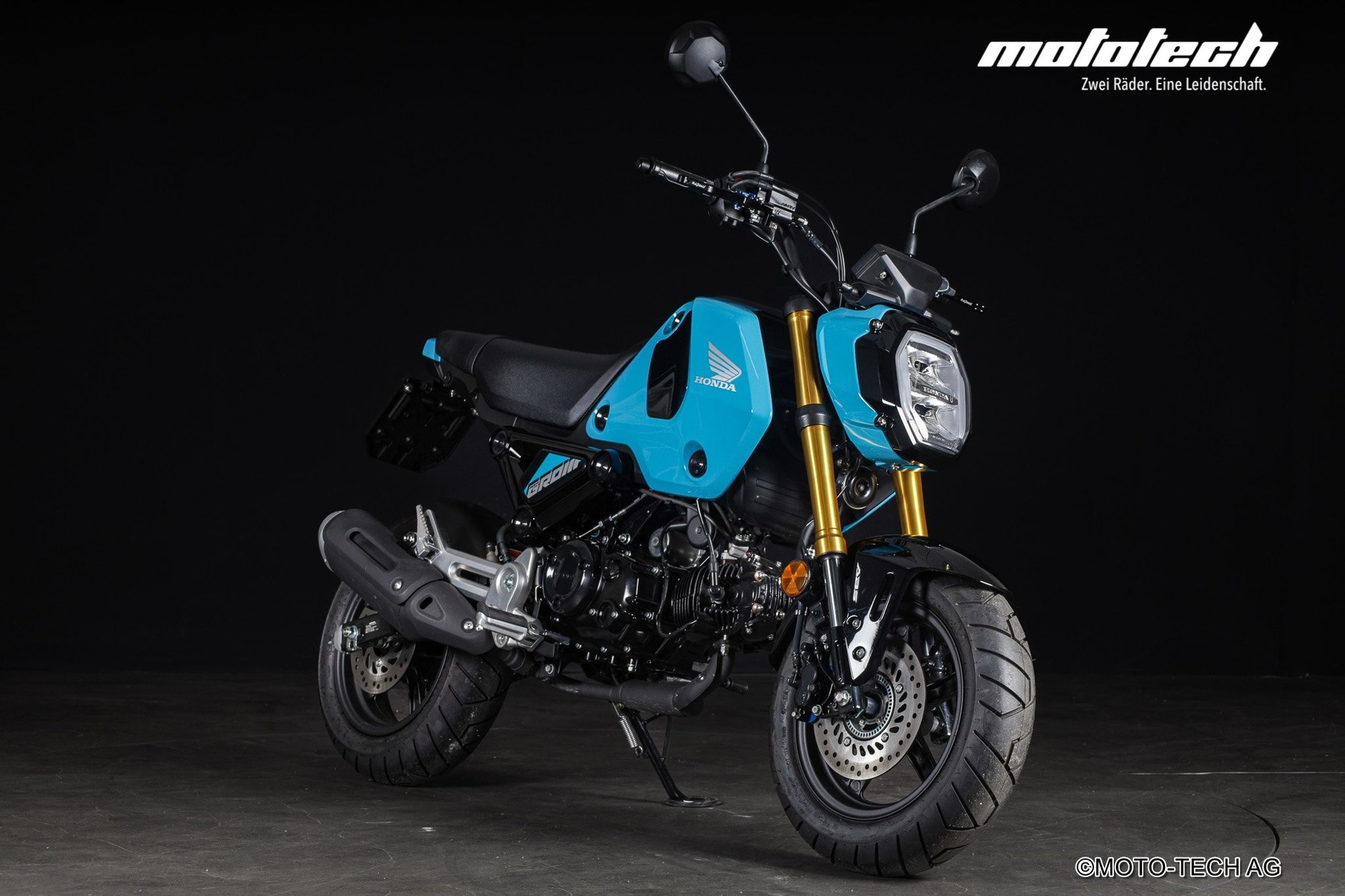 HONDA MSX 125 GROM-image-0