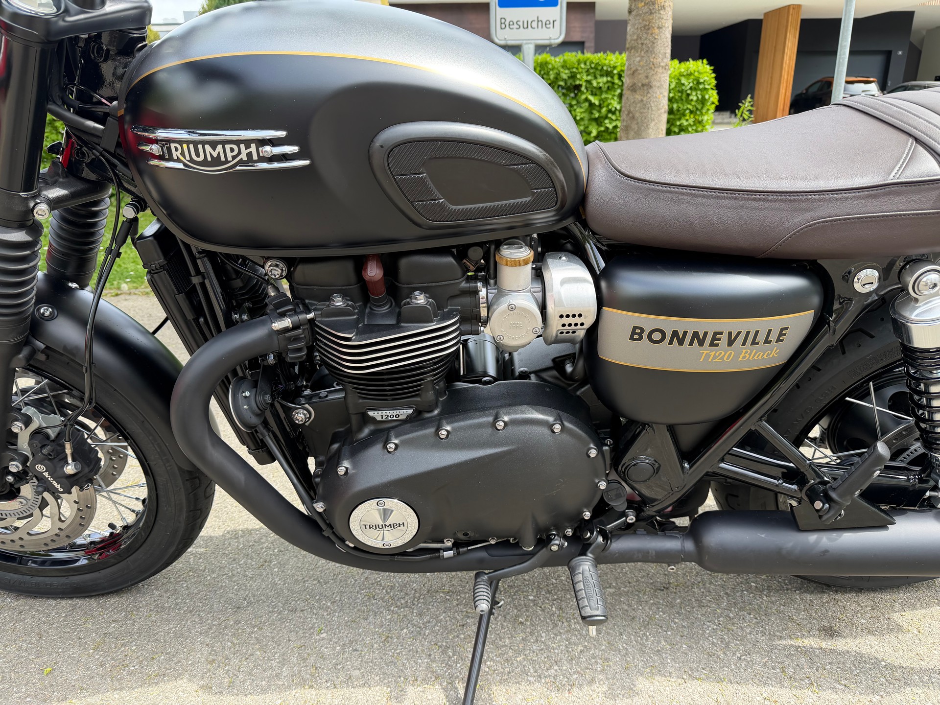 TRIUMPH T120 black Gold Line Edition-image-5