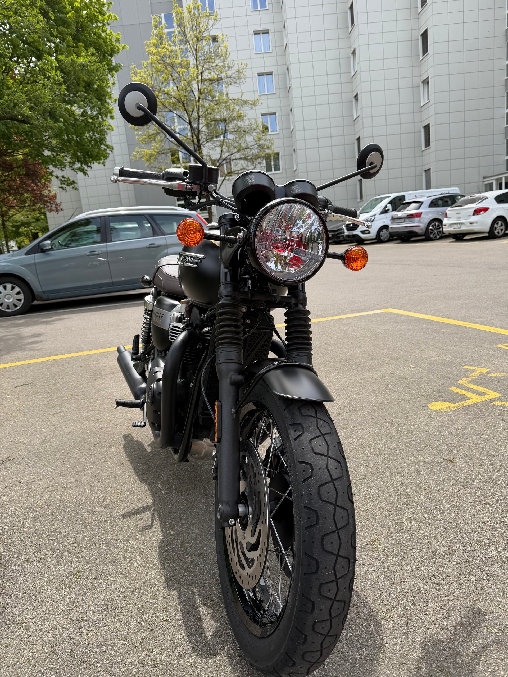 TRIUMPH T120 black Gold Line Edition-image-4