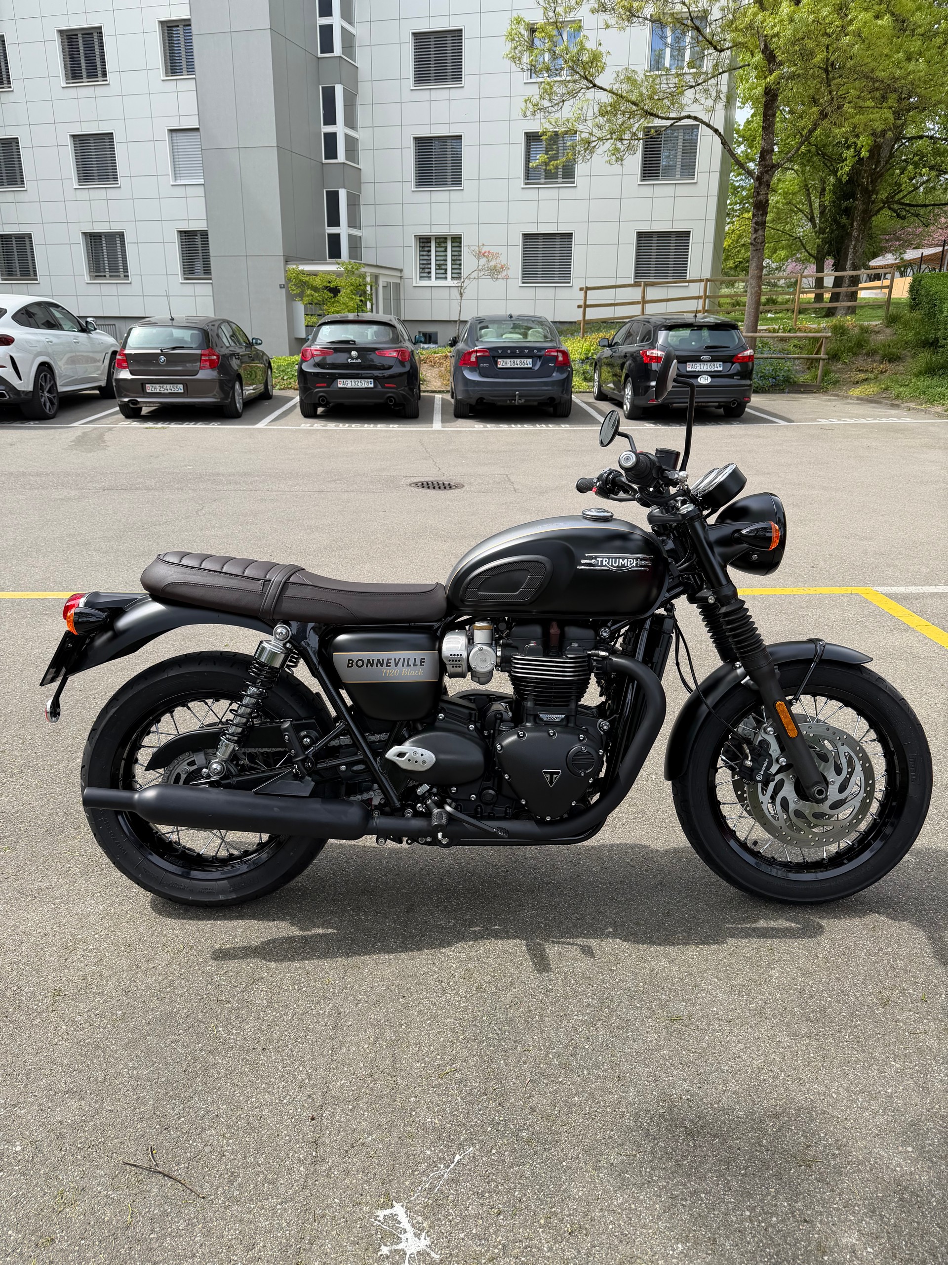 TRIUMPH T120 black Gold Line Edition-image-2