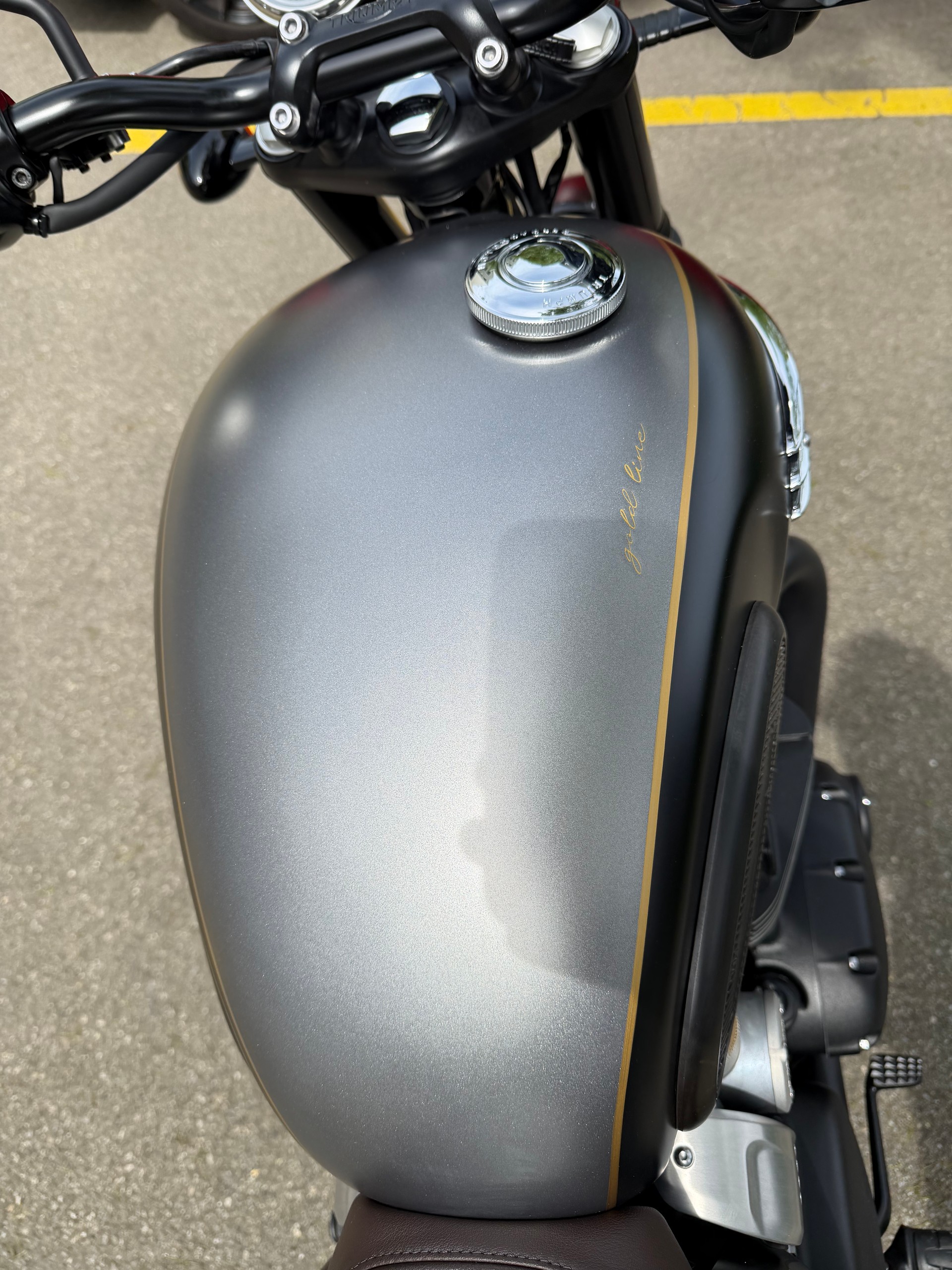 TRIUMPH T120 black Gold Line Edition-image-6