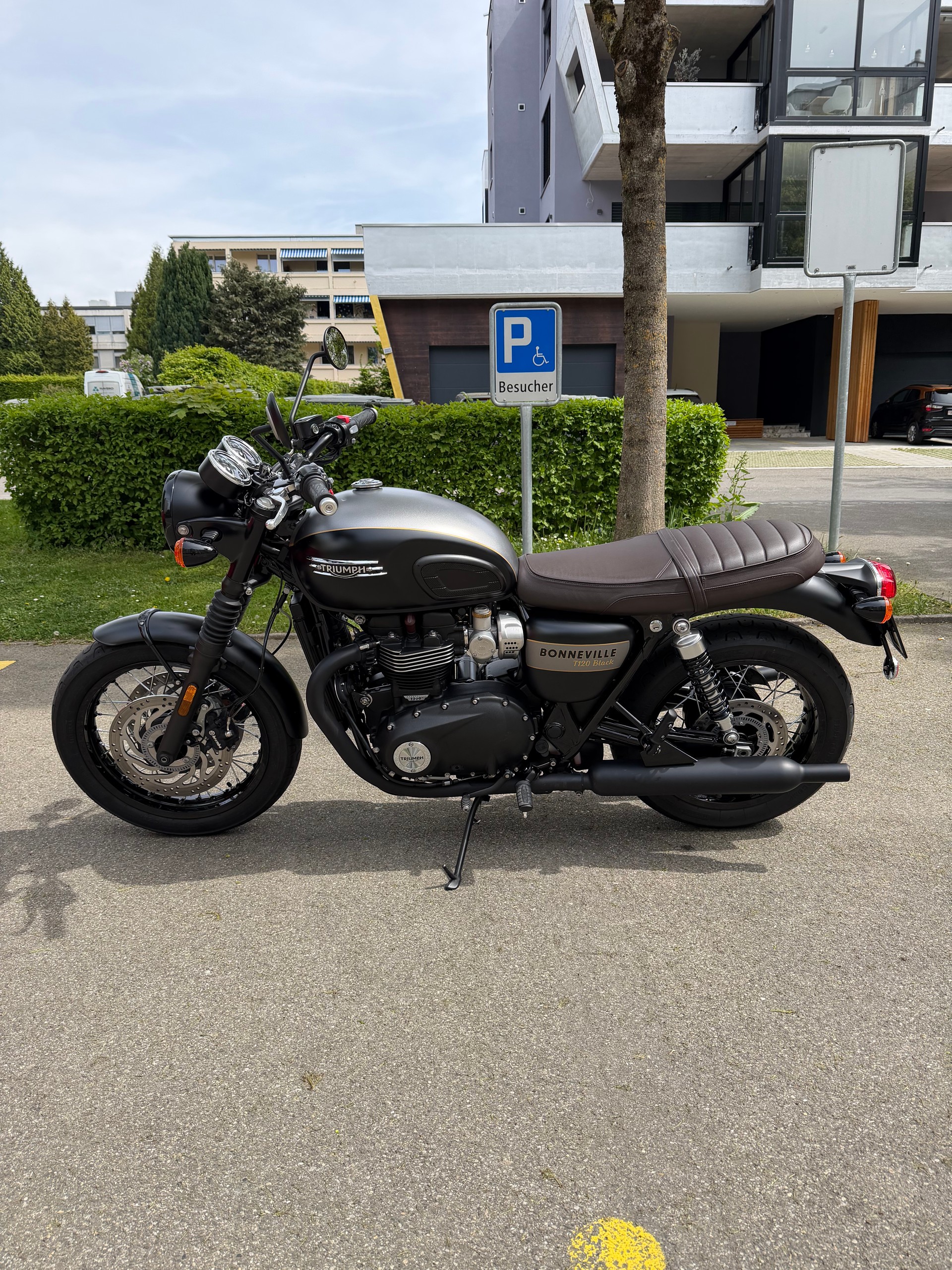 TRIUMPH T120 black Gold Line Edition-image-1