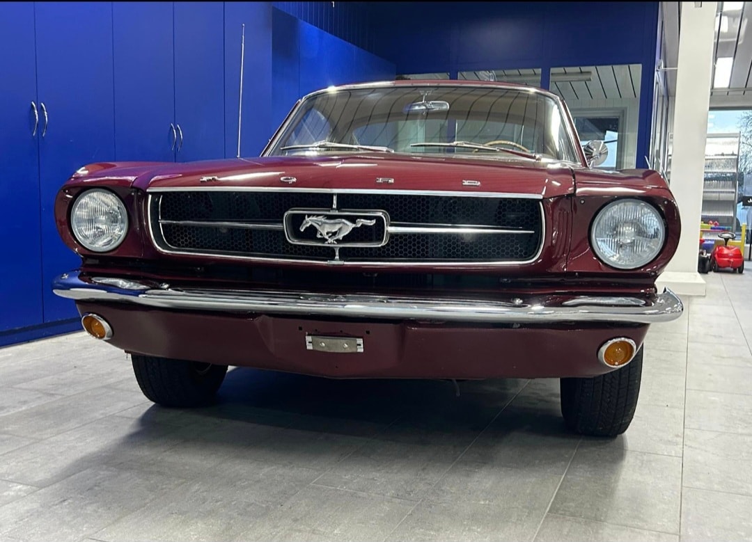 FORD Fastback-showroom-element-1