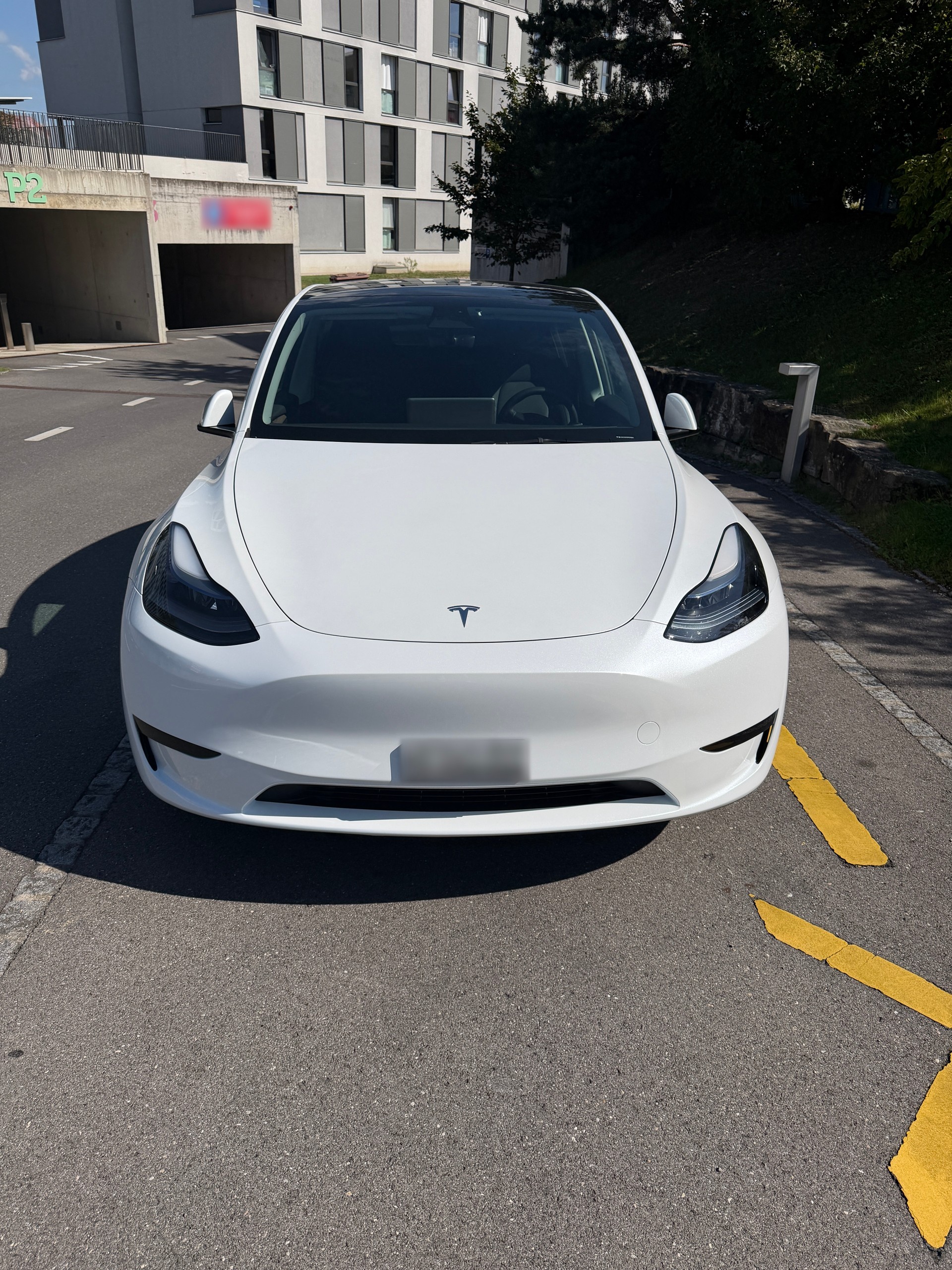 TESLA Basis-image-7