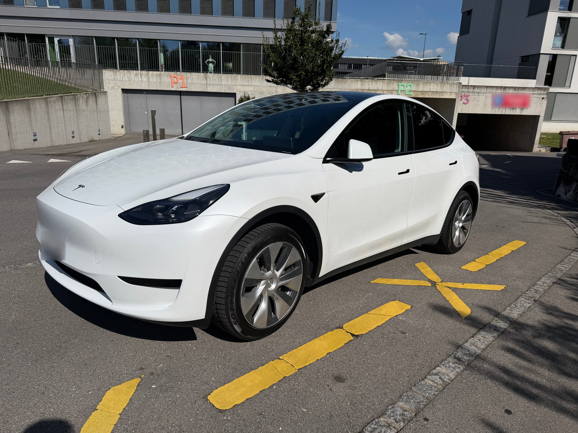 TESLA Basis