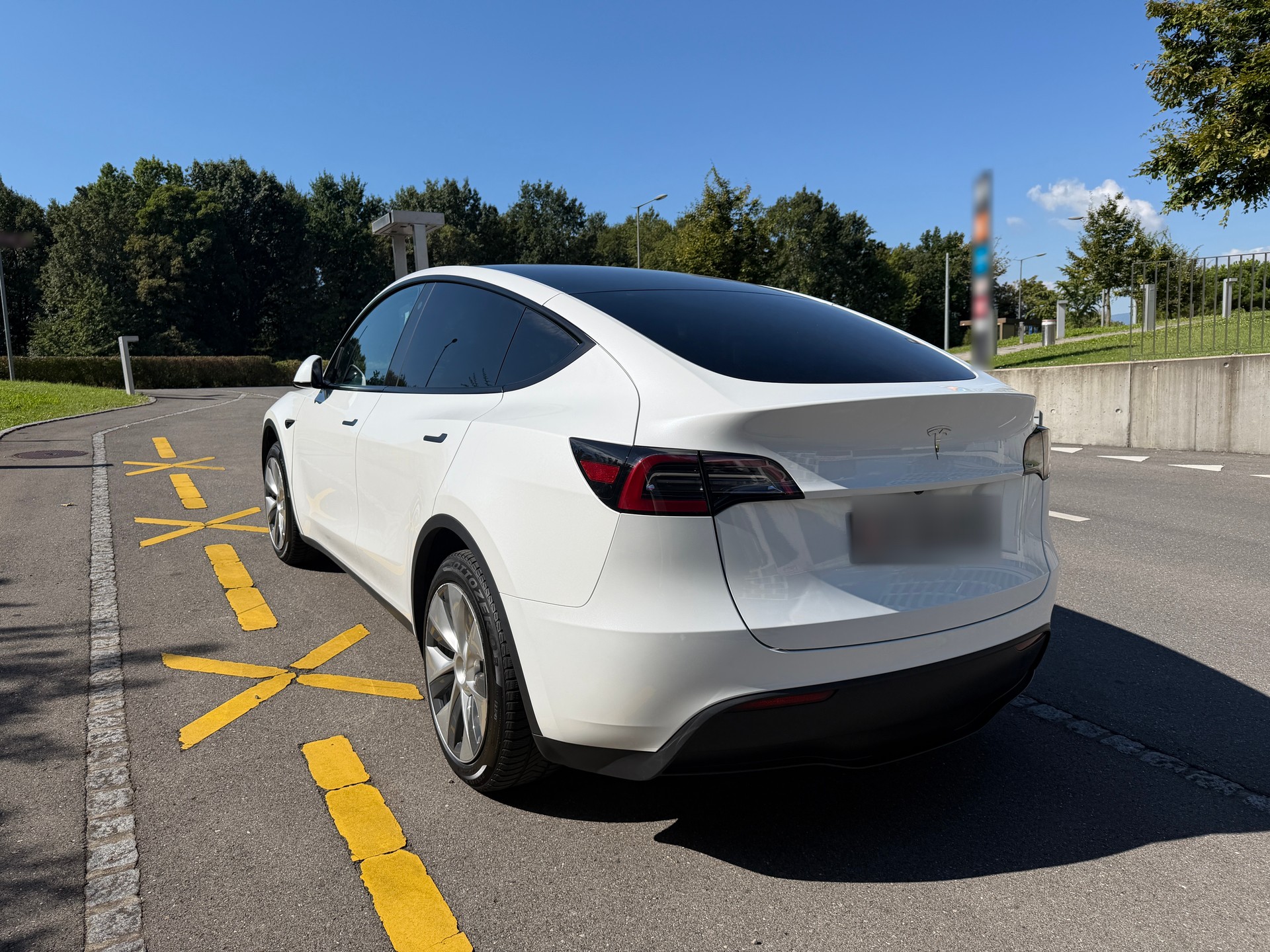 TESLA Basis-image-1