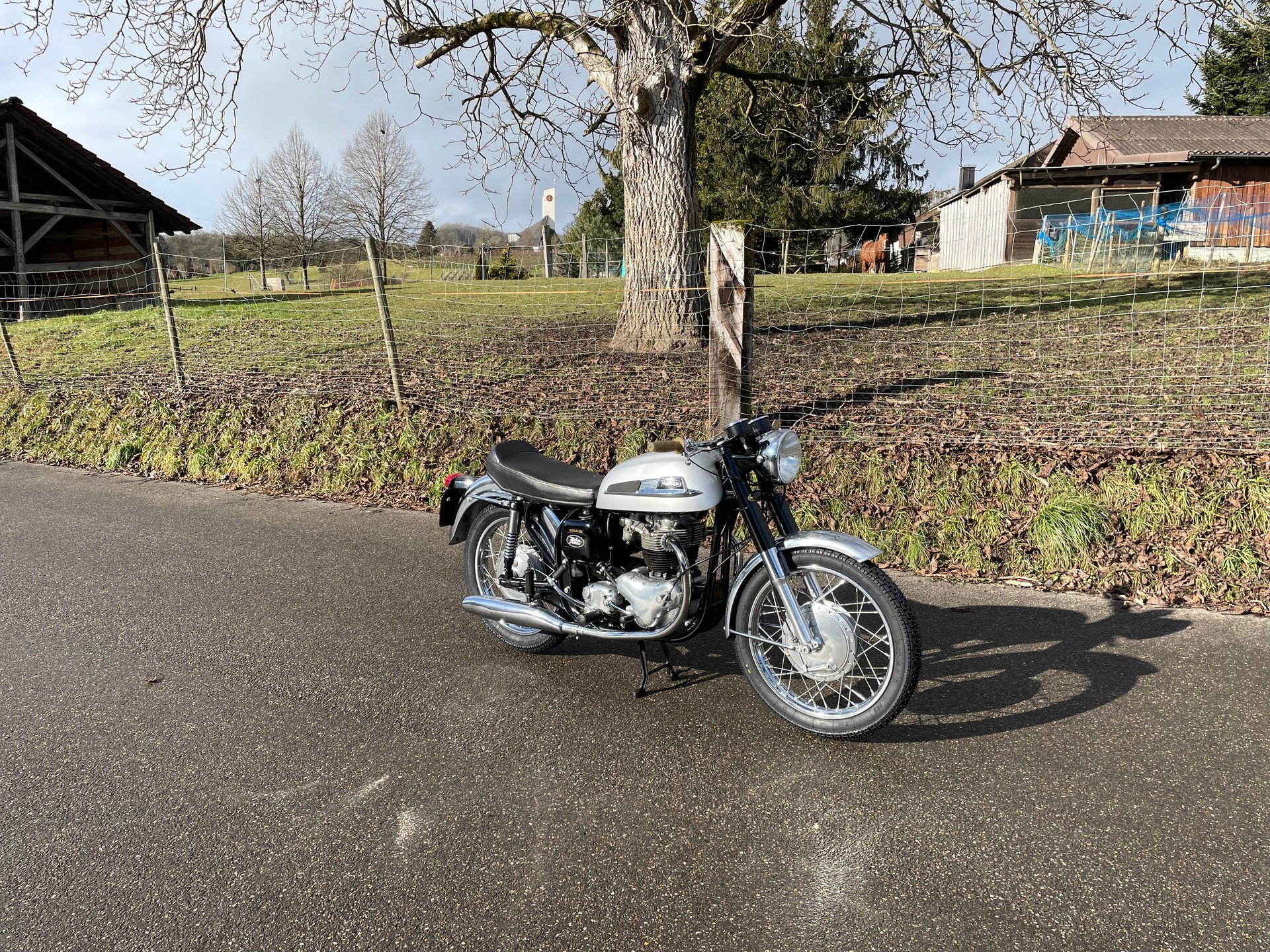 NORTON 650SS-image-2