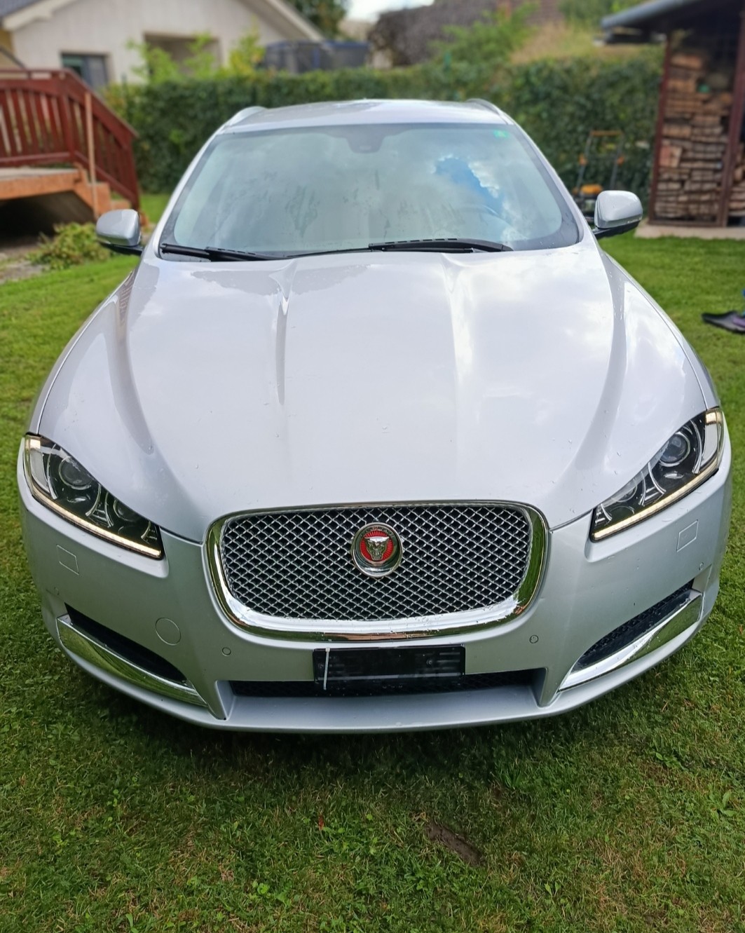 JAGUAR Sport-Break
