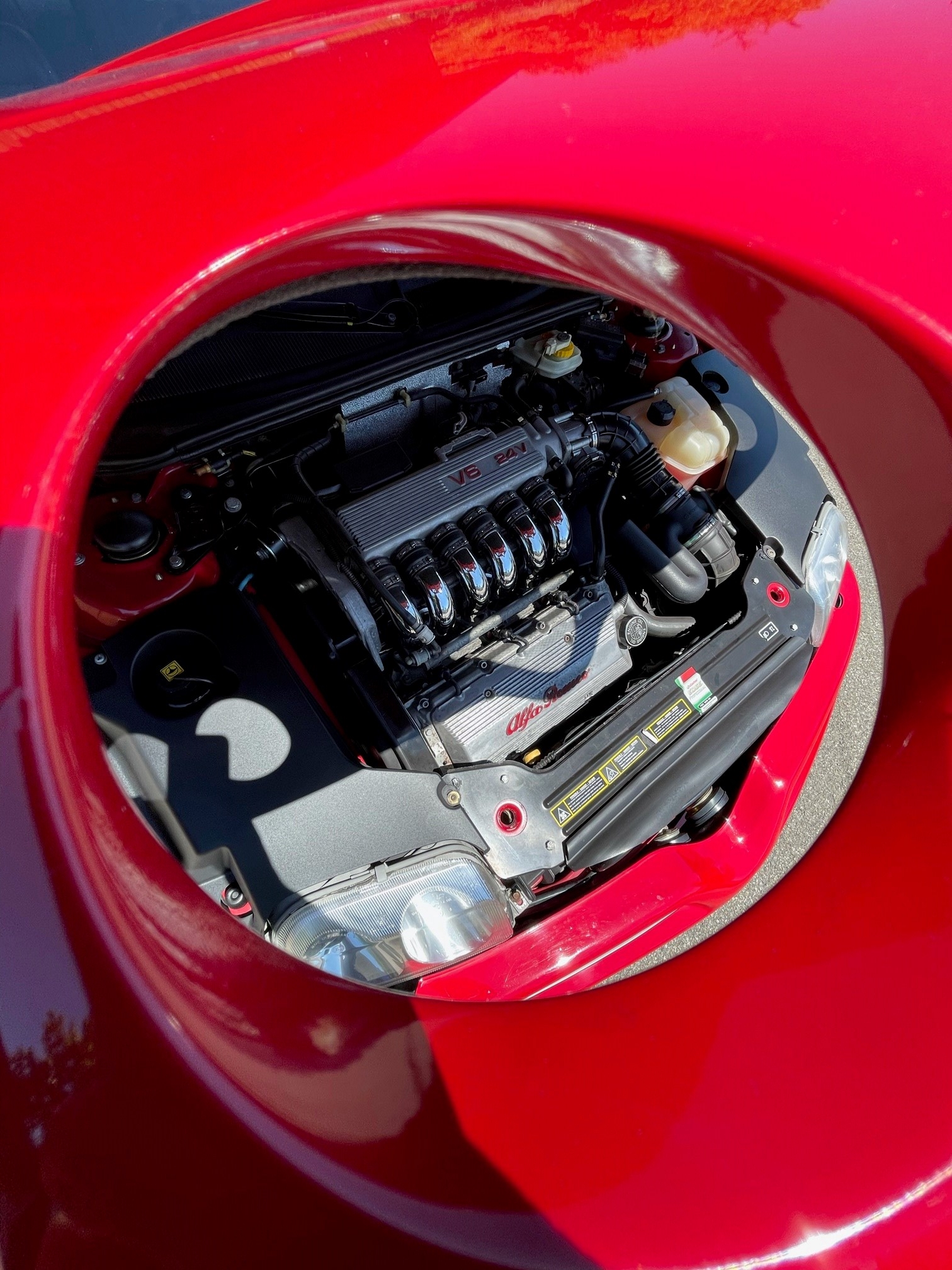 ALFA ROMEO GTV 3.0 V6 24V Cup-image-19