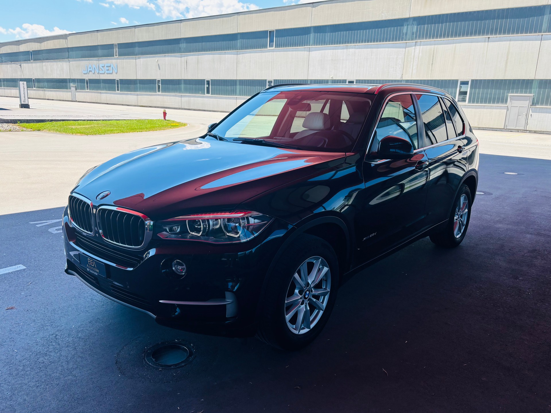 BMW X5 xDrive 25d Steptronic-image-2