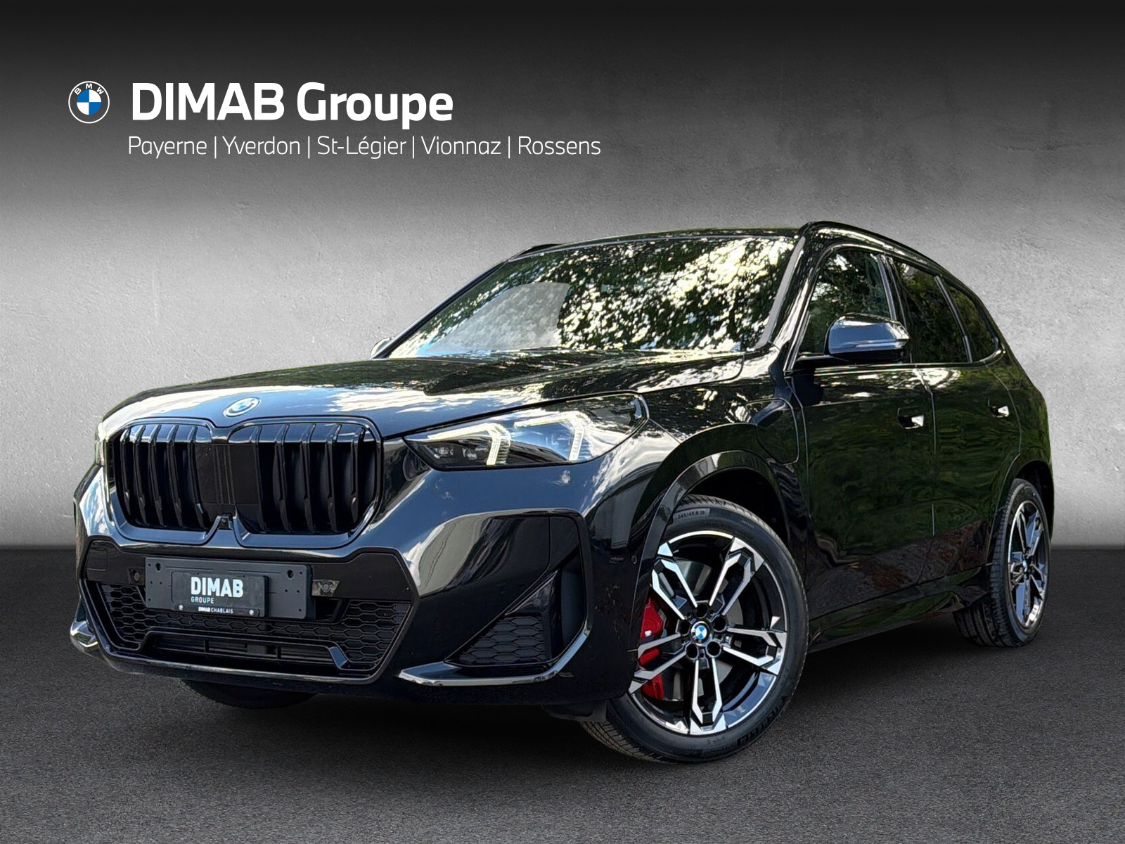 BMW X1 xDrive 30e M Sport Pro