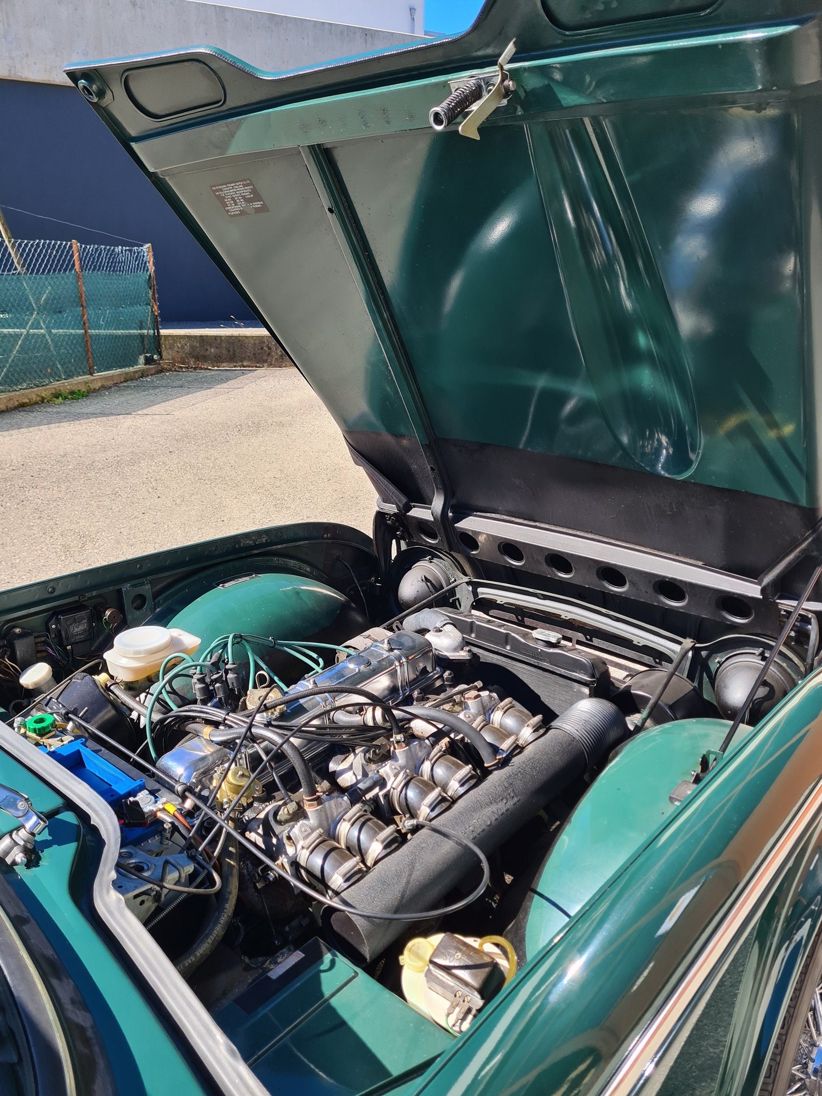 TRIUMPH TR5-image-4