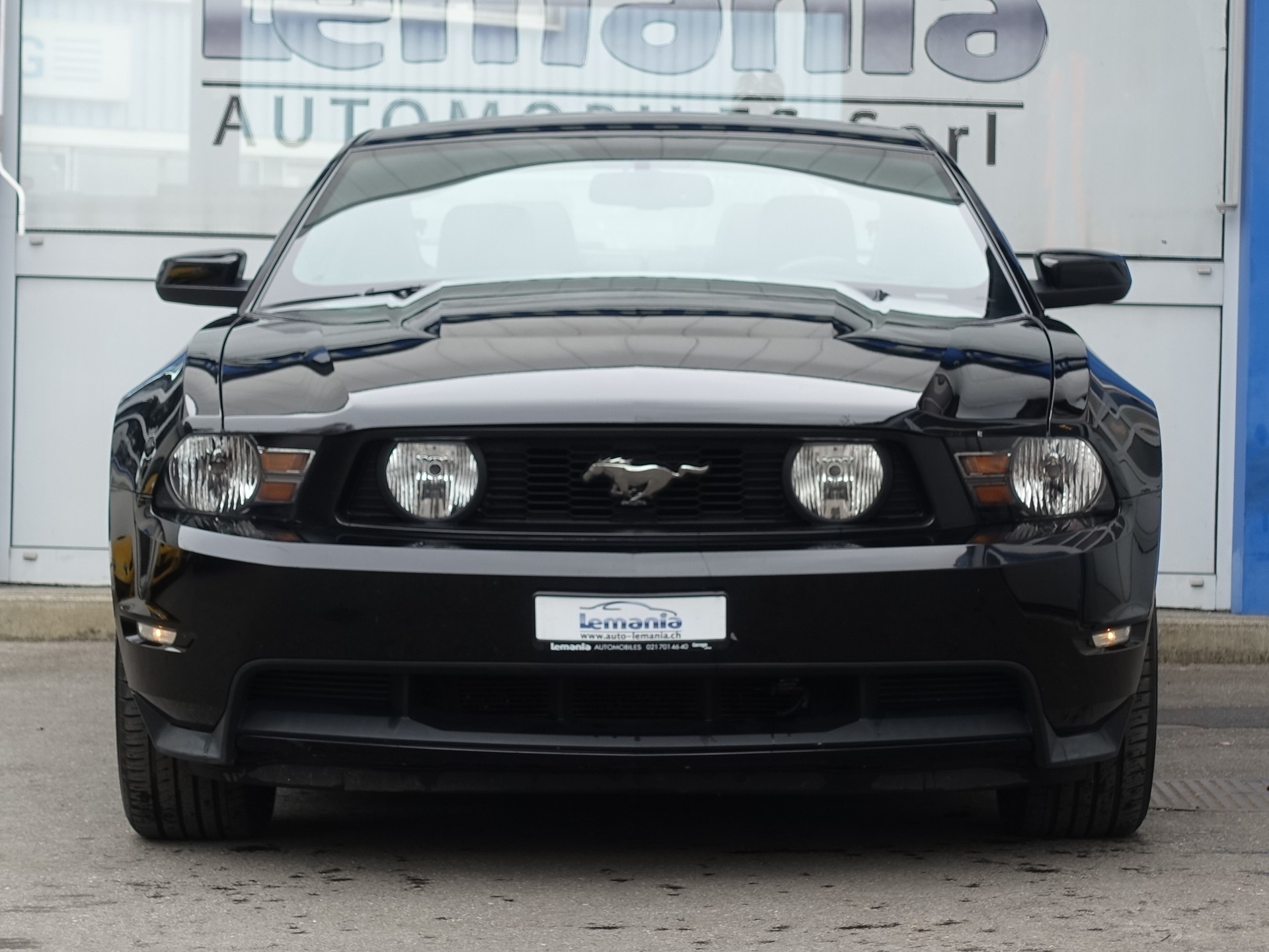 FORD GT 5.0 Shelby-showroom-element-2