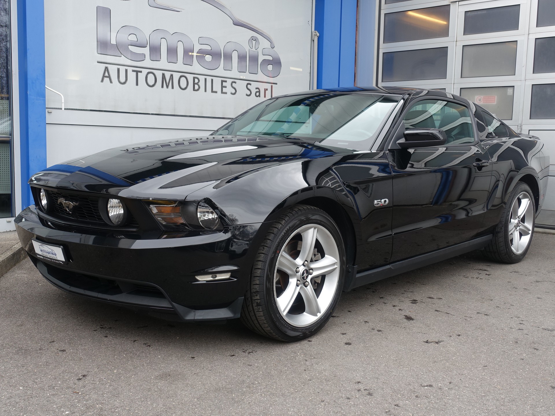 FORD GT 5.0 Shelby-showroom-element-1