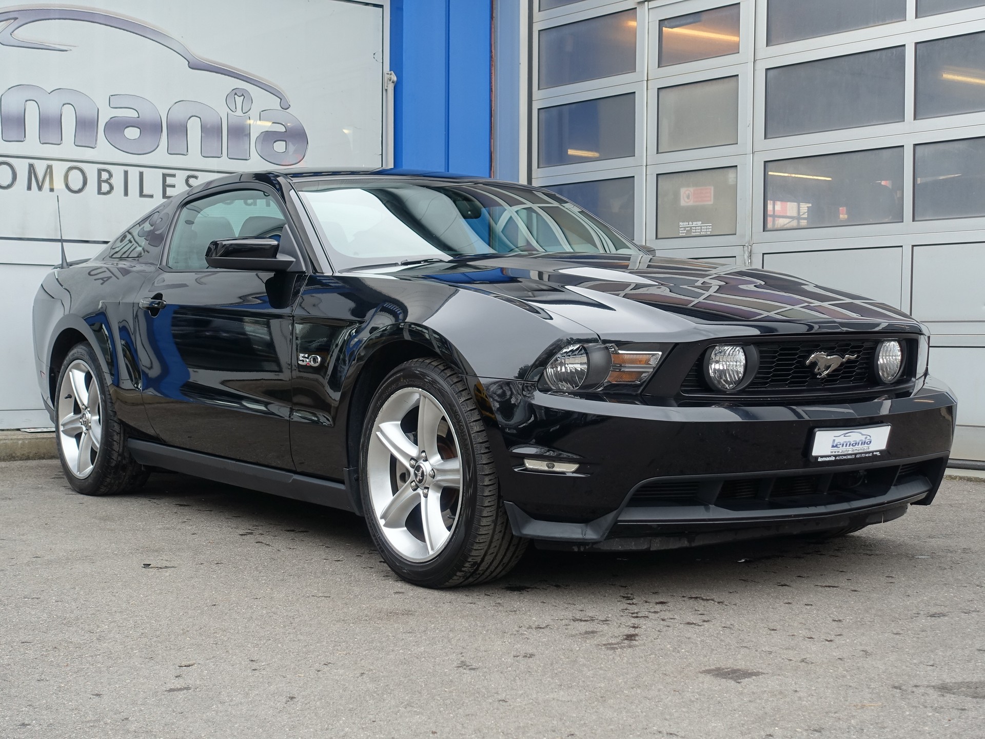 FORD GT 5.0 Shelby