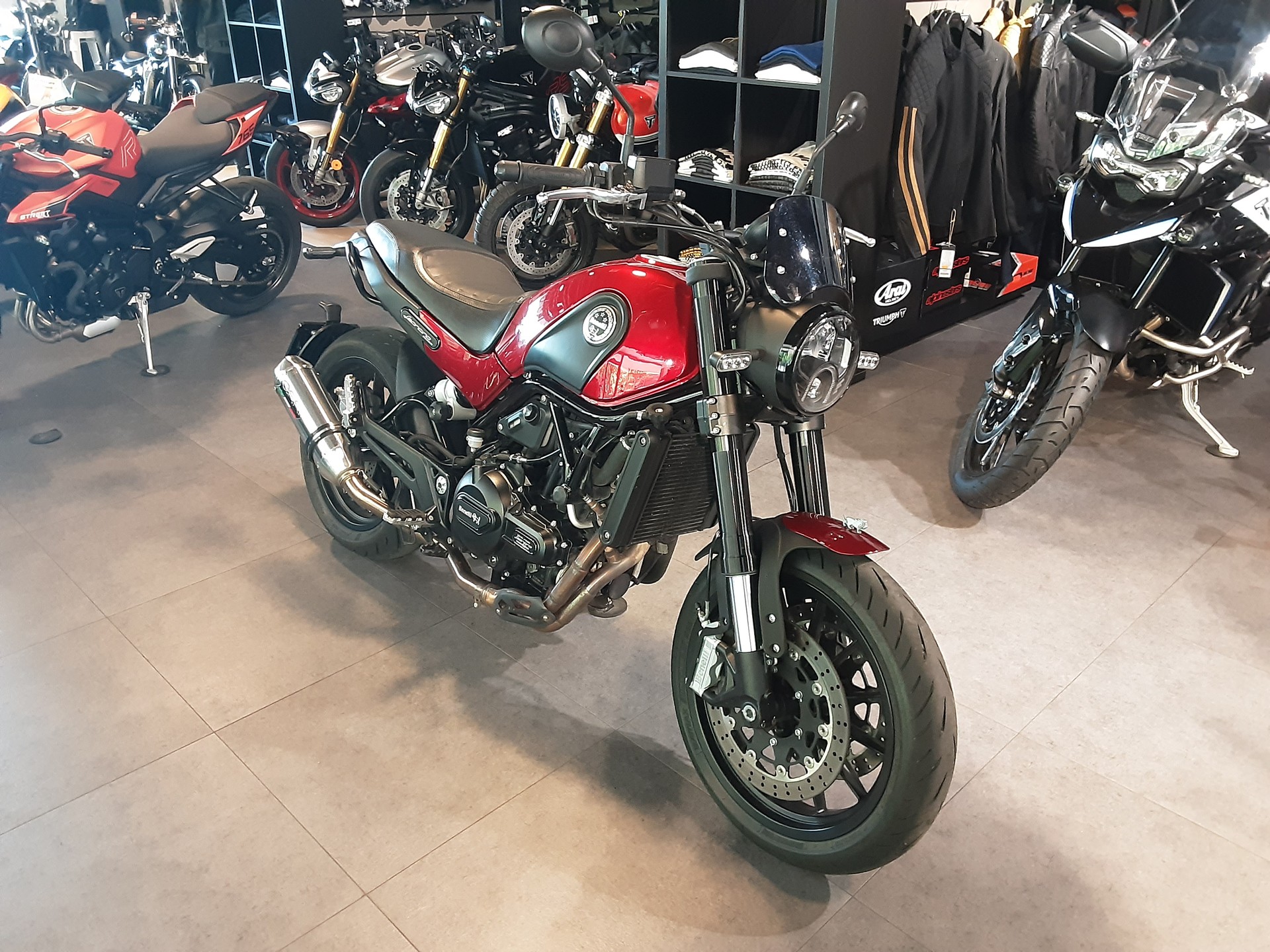 BENELLI Leoncino 500-image-2