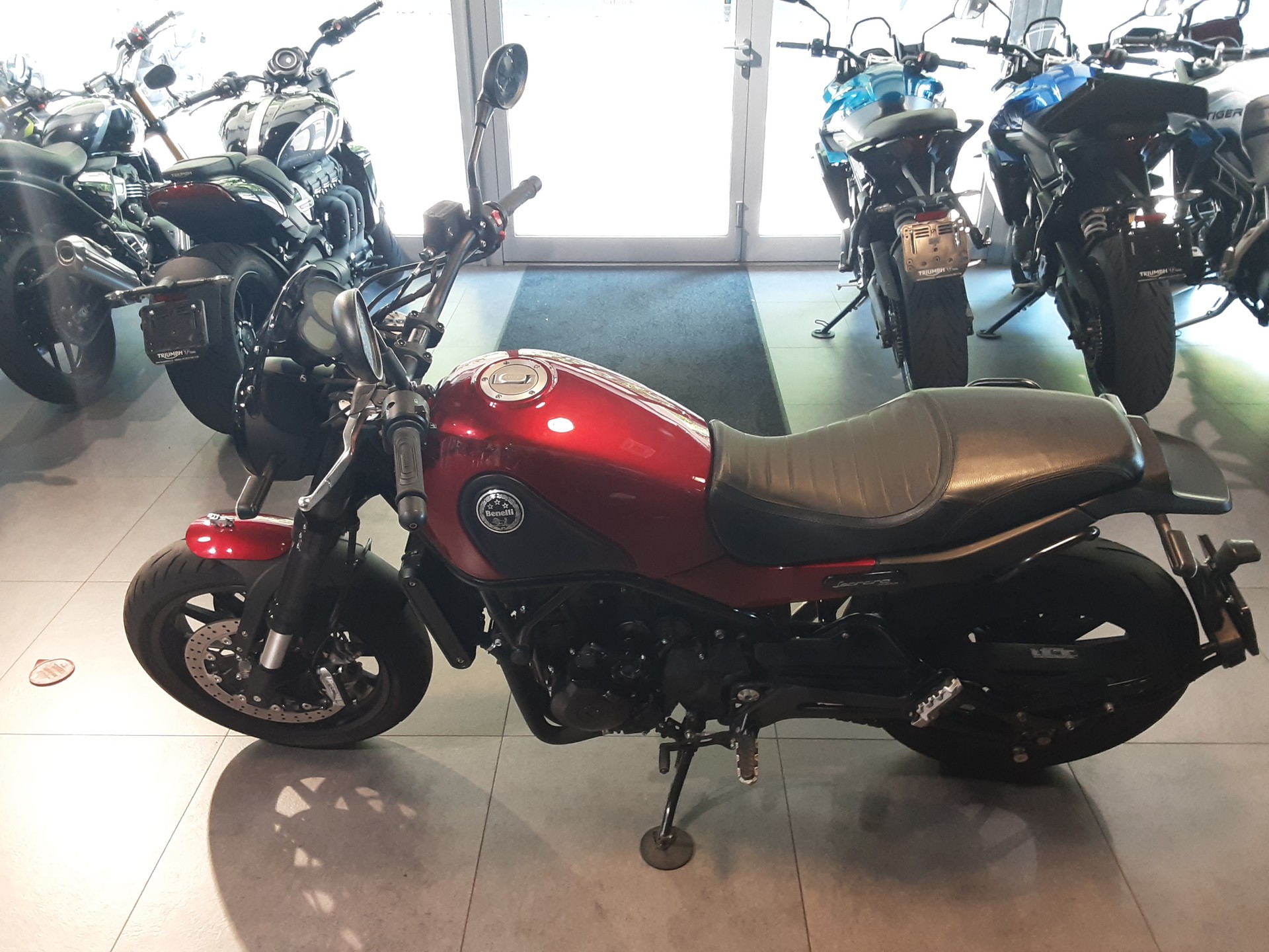 BENELLI Leoncino 500-image-1