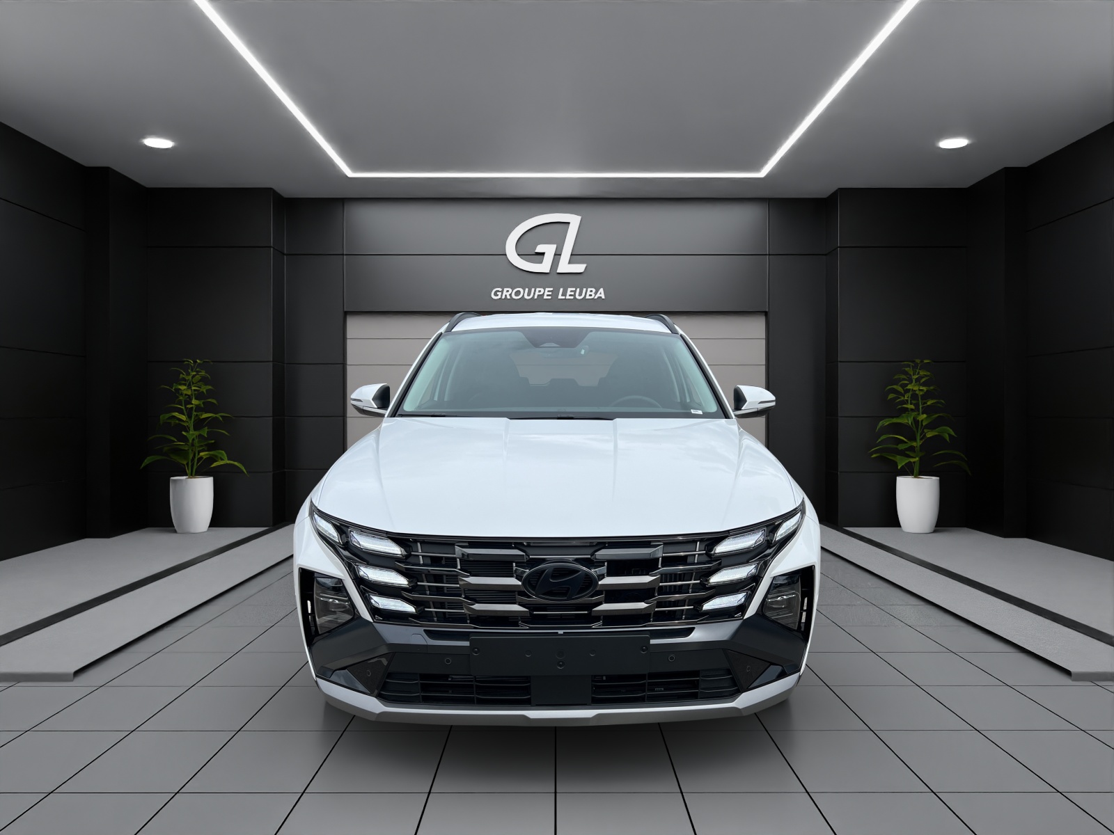 HYUNDAI Tucson 1.6 TGDI HEV Amplia 4WD-showroom-element-3