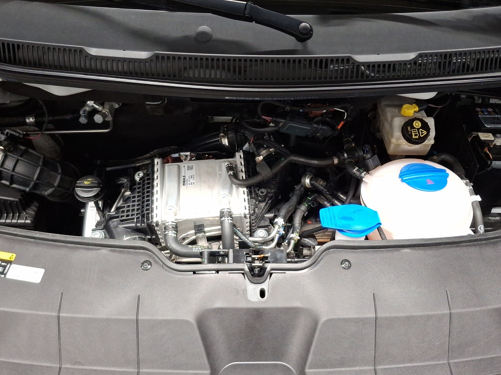 VW T6.1 2.0 TDI 4Motion-image-13