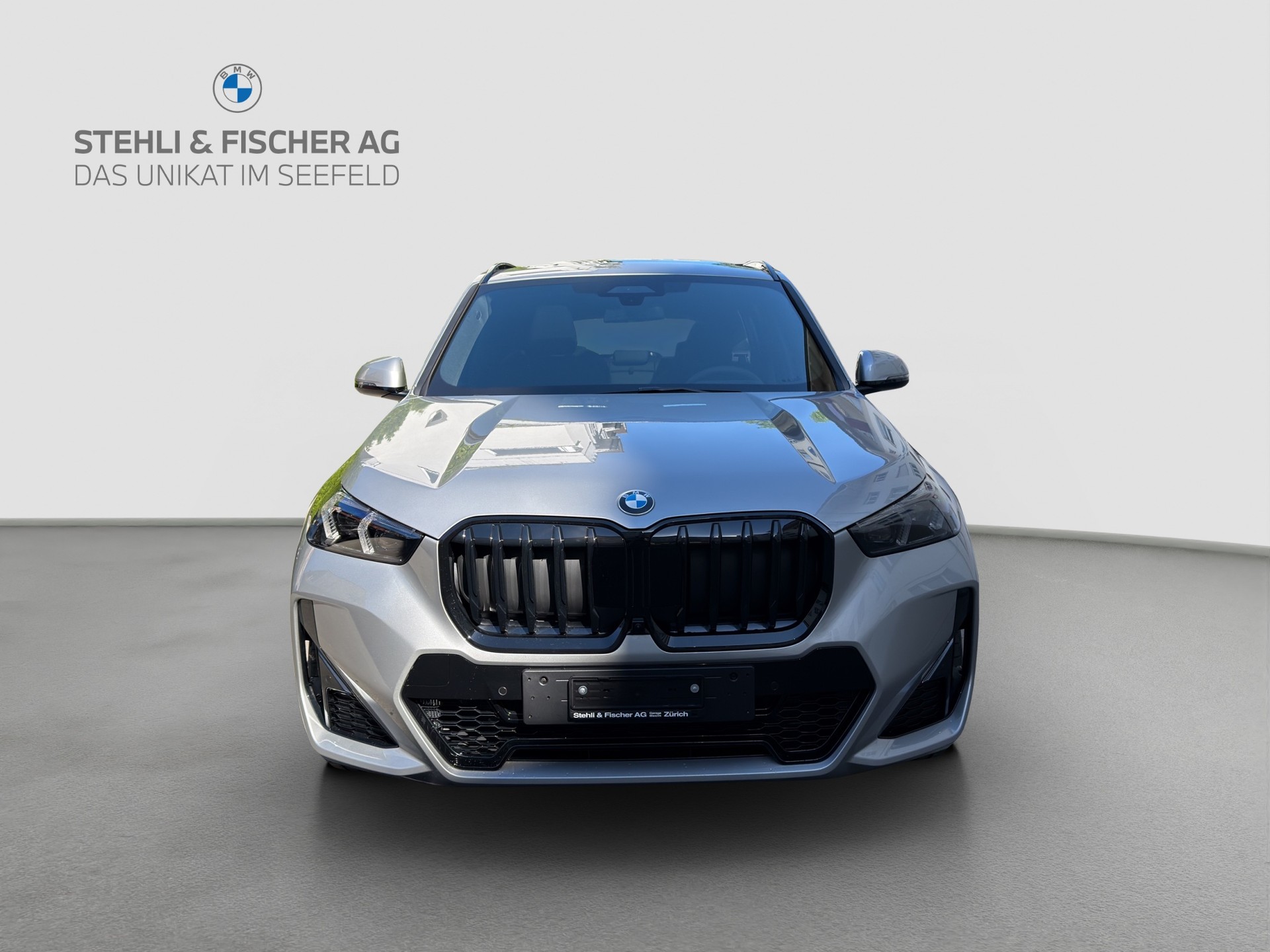 BMW X1 xDrive 23d 48V M Sport Pro-showroom-element-2