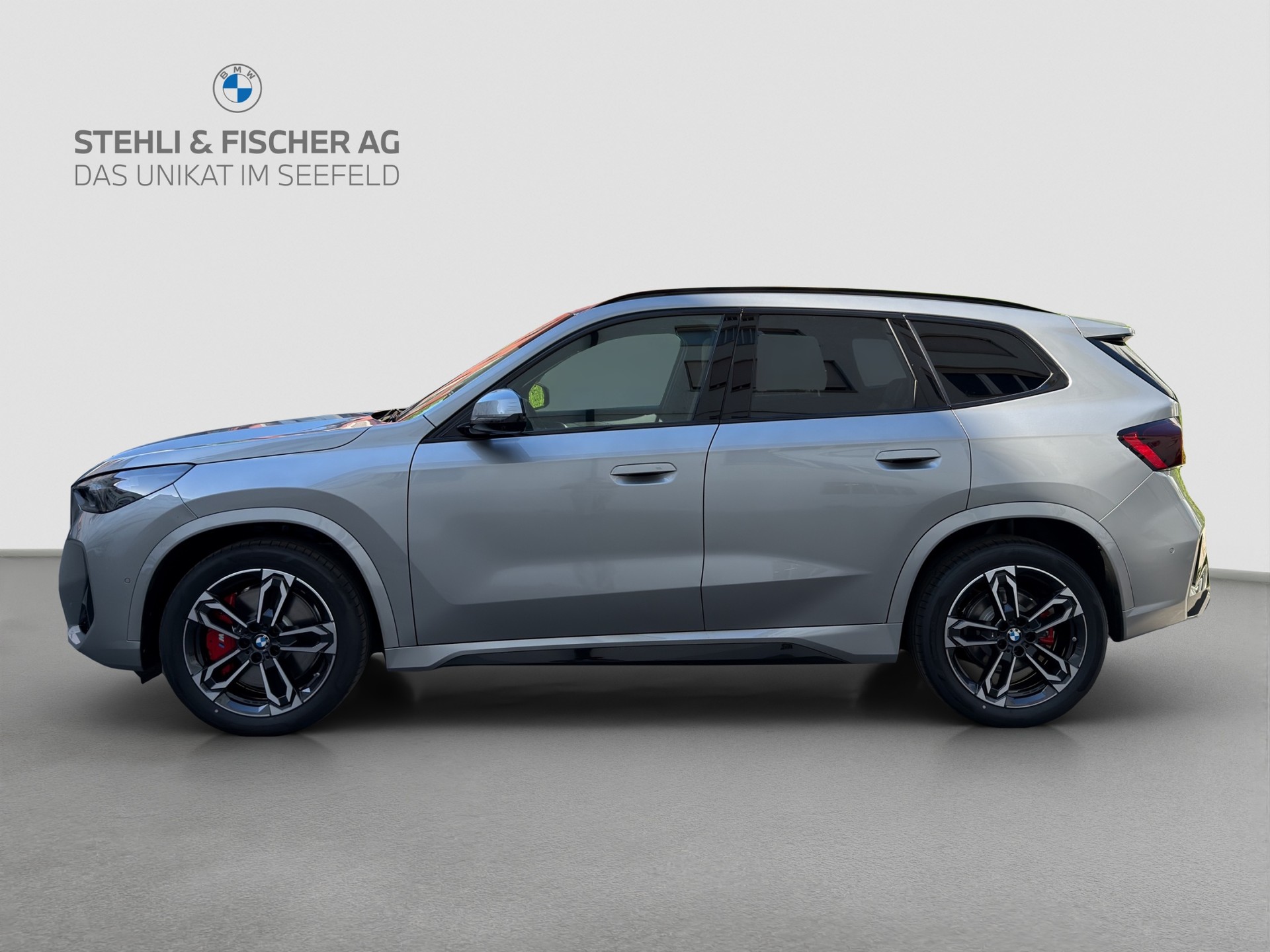 BMW X1 xDrive 23d 48V M Sport Pro-showroom-element-1