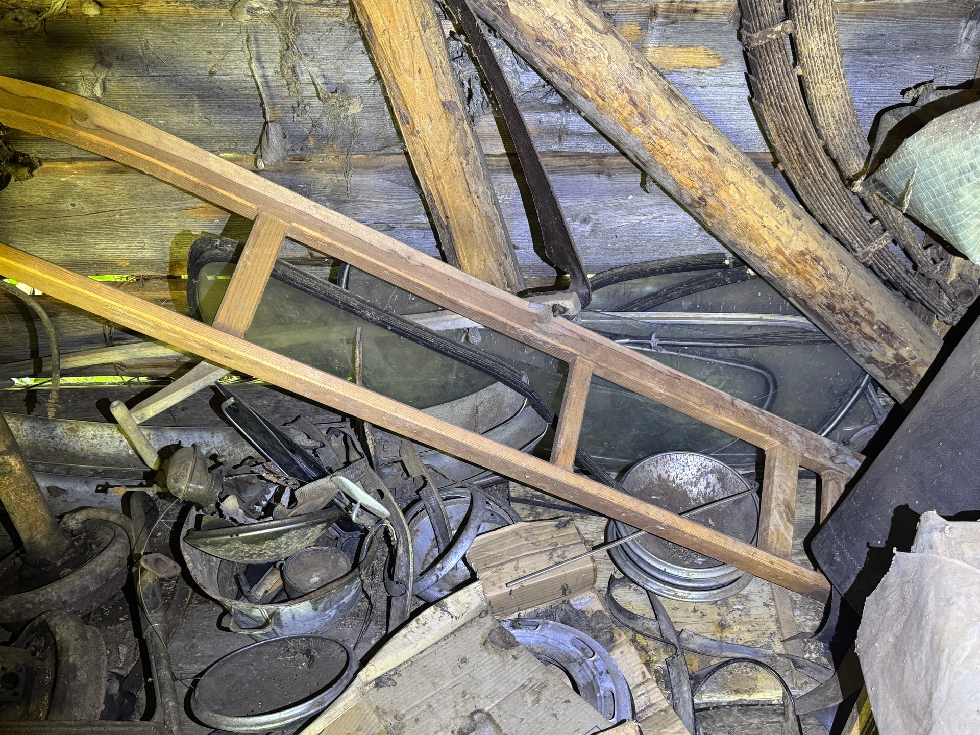 VW 1 - 11-image-13