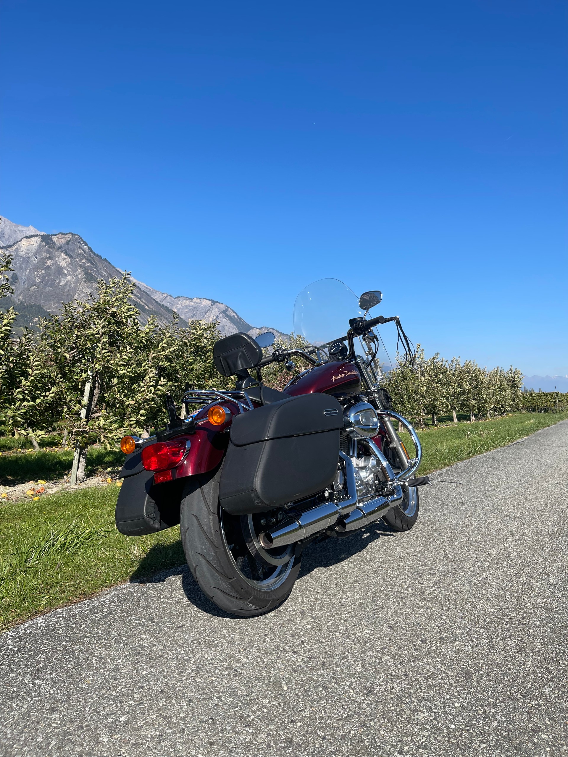 HARLEY-DAVIDSON XL 883 L Sportster Super Low ABS-image-3
