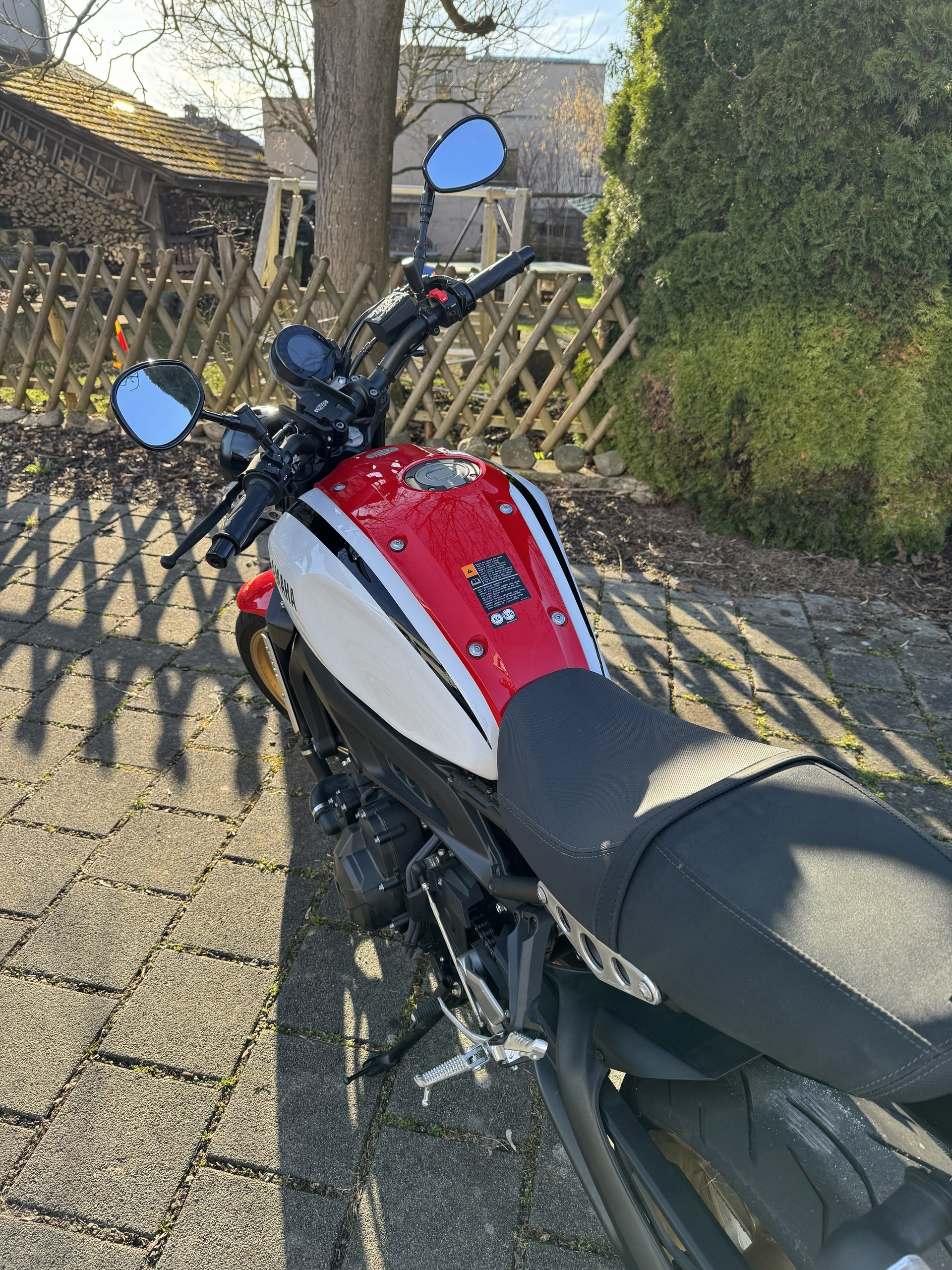 YAMAHA XSR 900-image-3