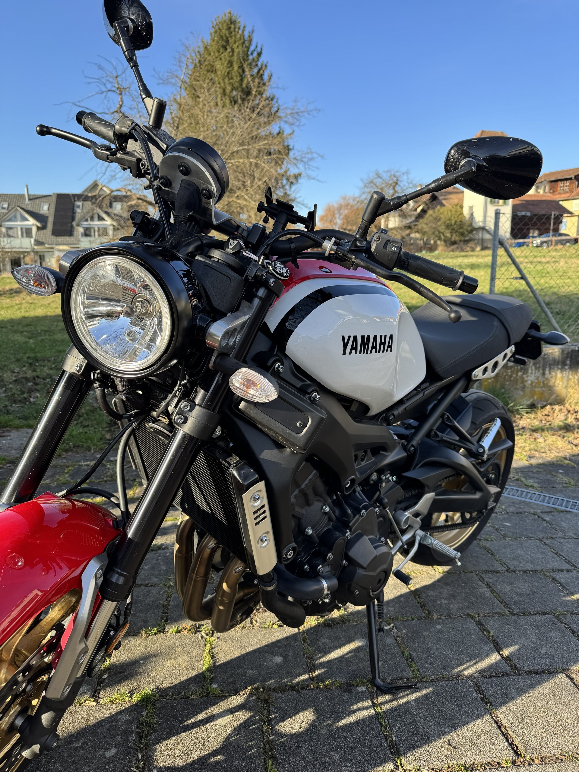 YAMAHA XSR 900-image-2