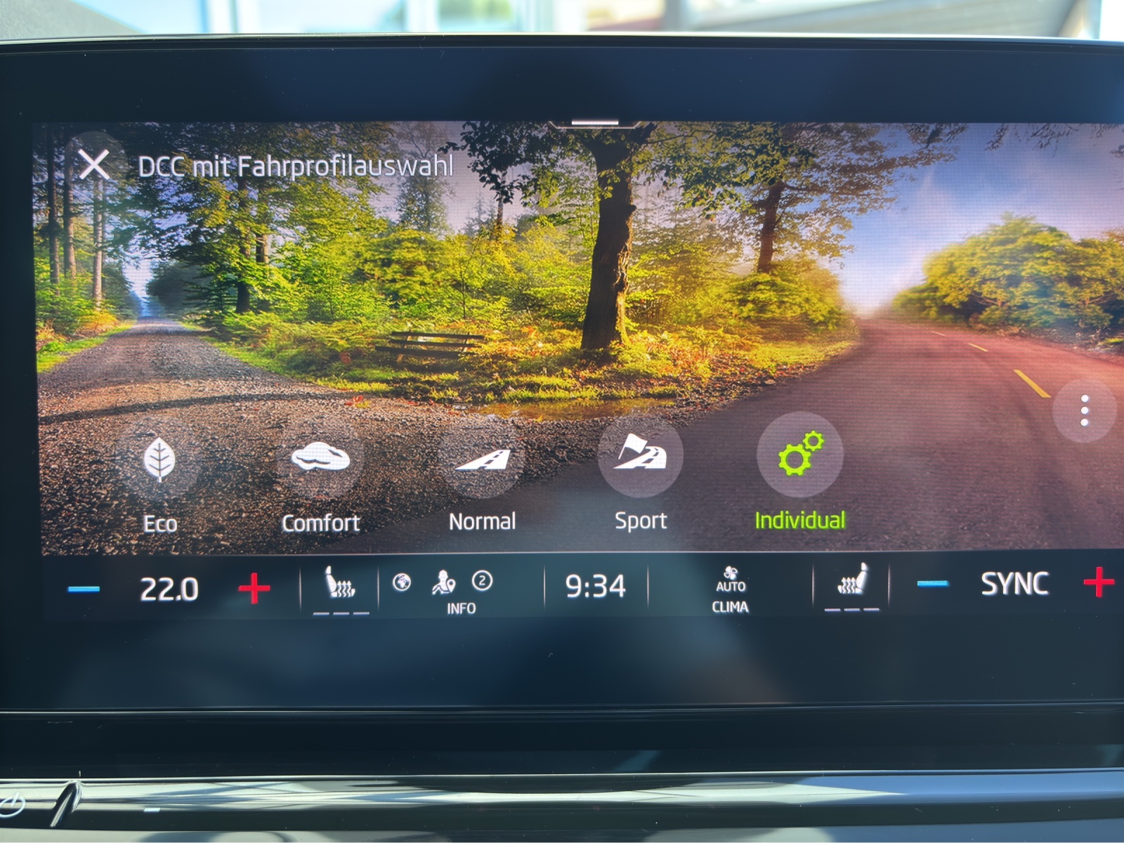 SKODA Octavia Combi 2.0 TSI DSG RS mit AHK-Vorbereitung & Rückfahrkamera-image-23
