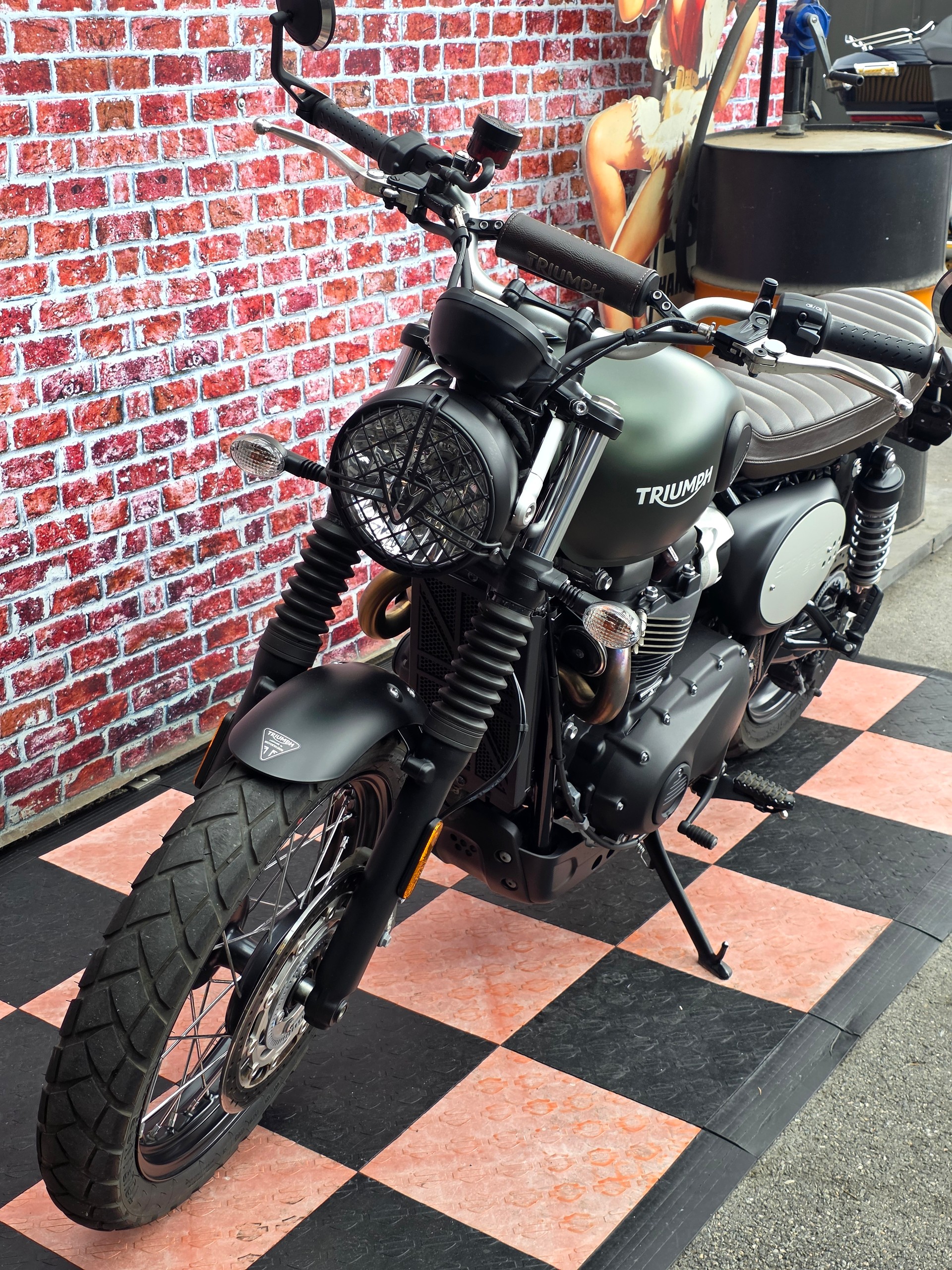 TRIUMPH Street Scrambler 900-image-4