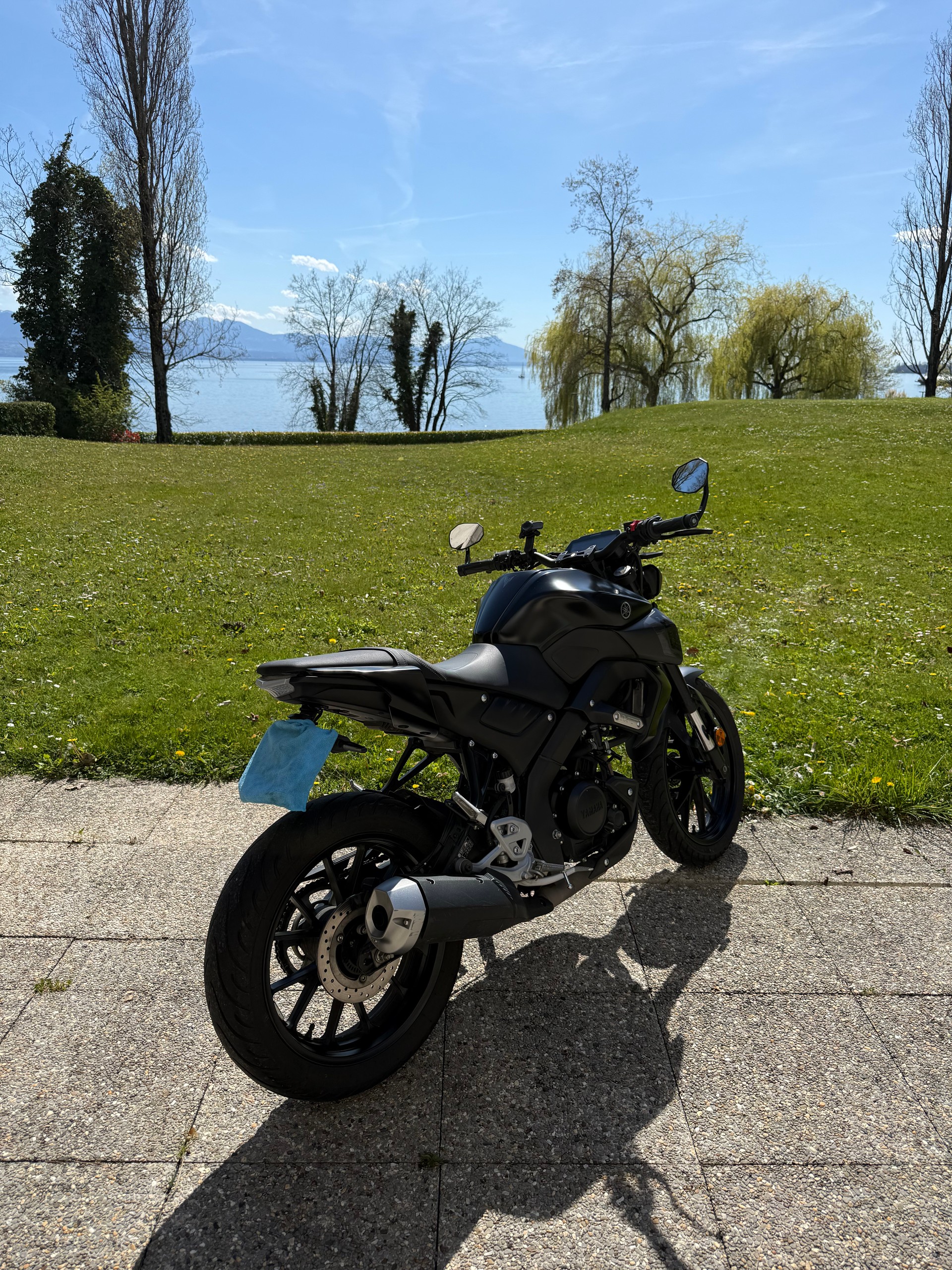 YAMAHA MT-125 ABS-image-3