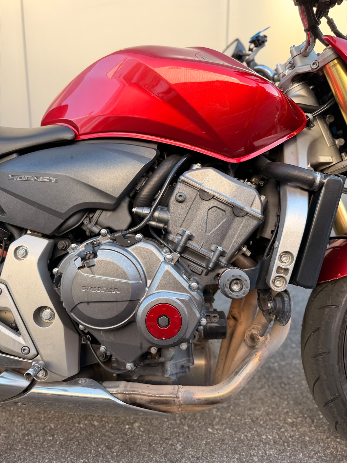 HONDA CB 600 F ABS Hornet-image-4