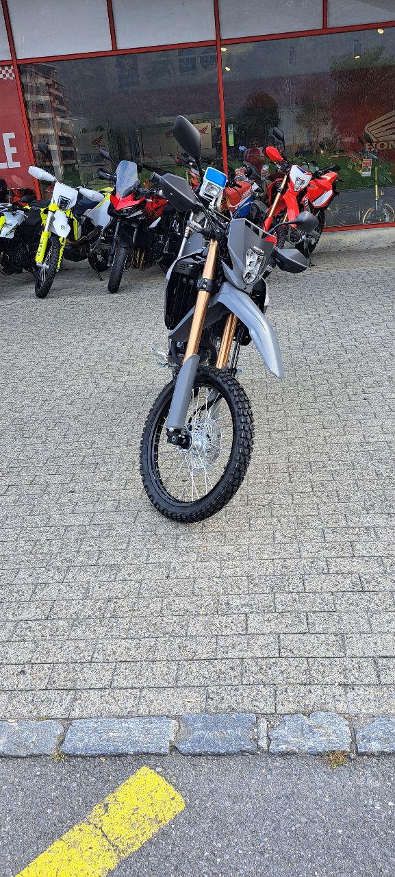 HONDA CRF 300 L-image-1